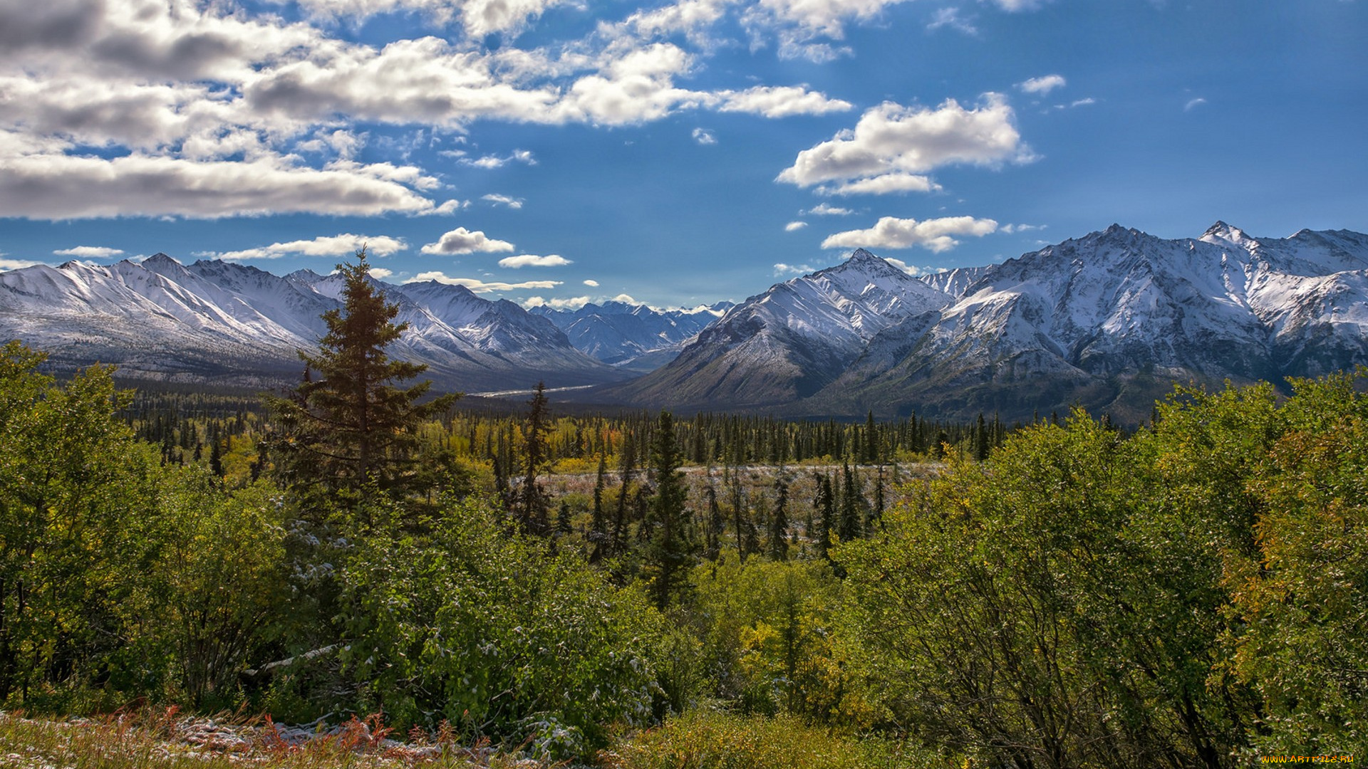 природа, горы, простор