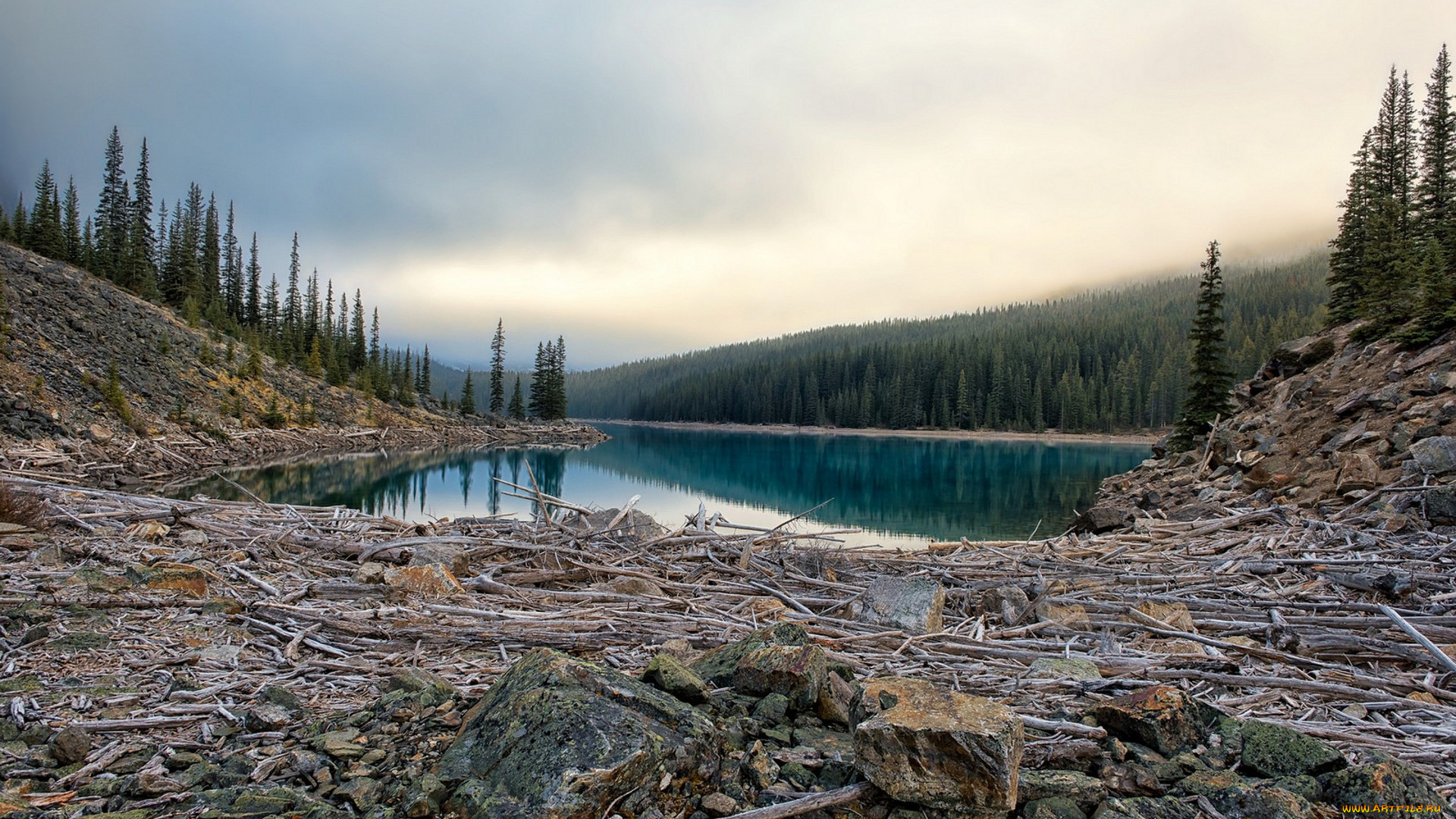 природа, пейзажи, простор