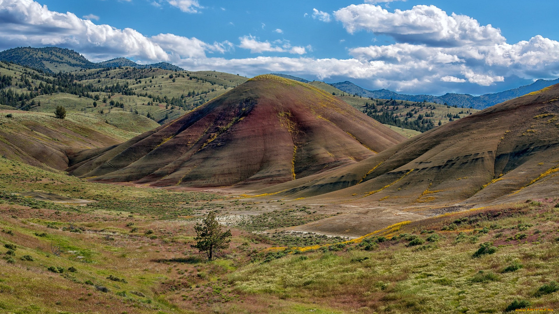 природа, пейзажи, простор