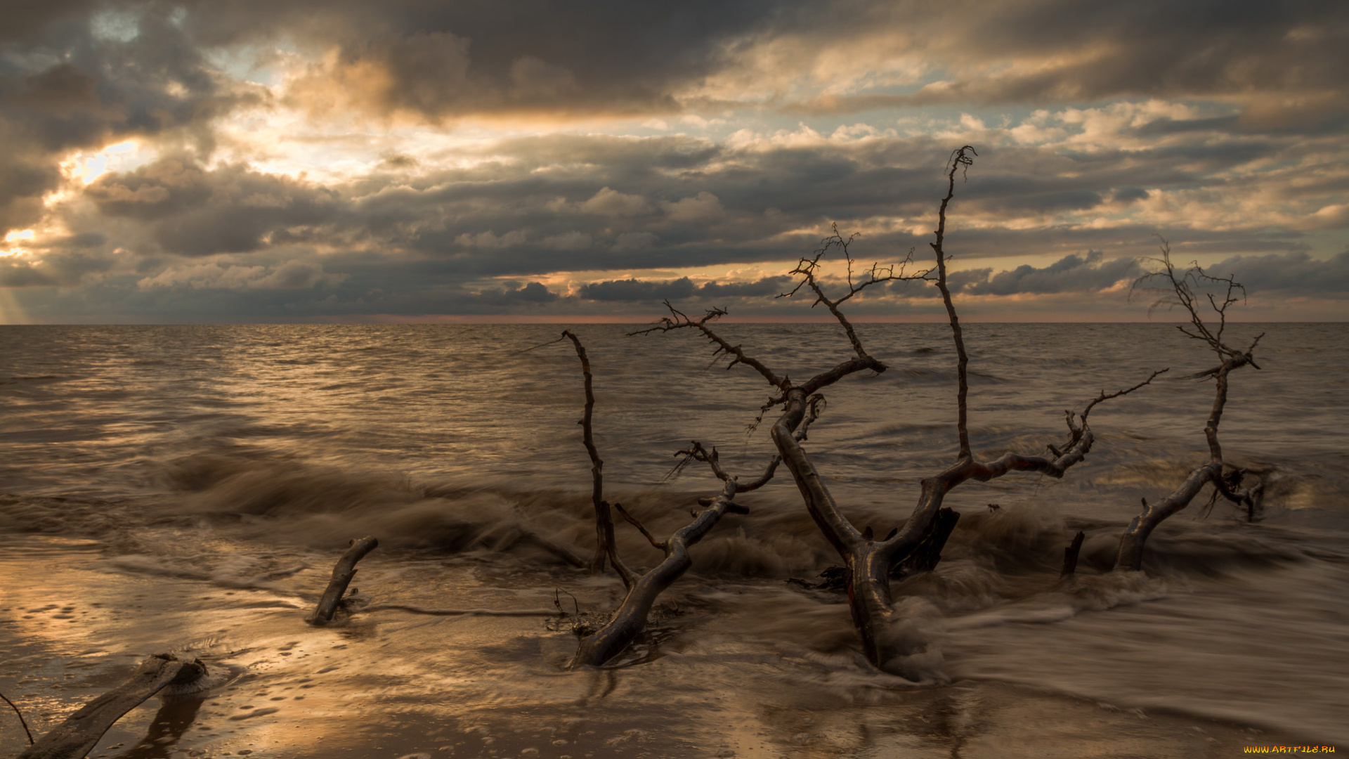 природа, побережье, простор