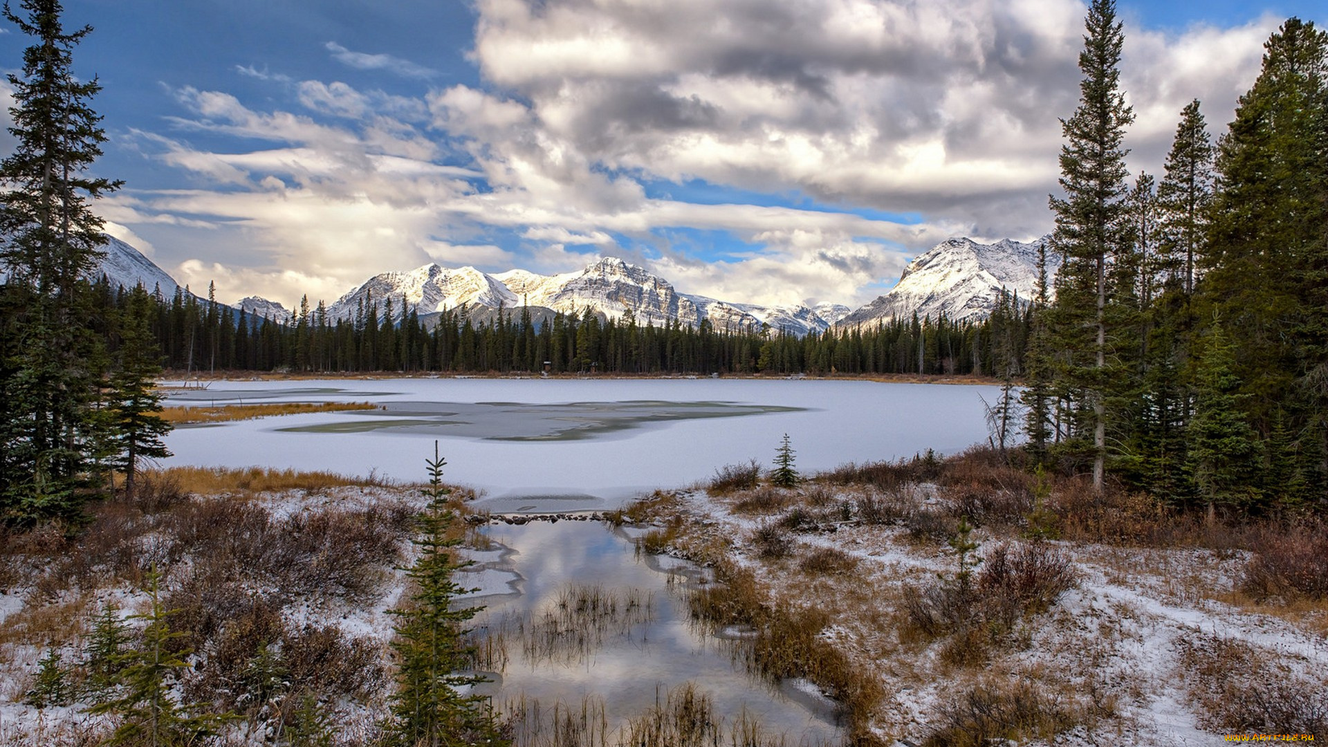 природа, реки, озера, простор