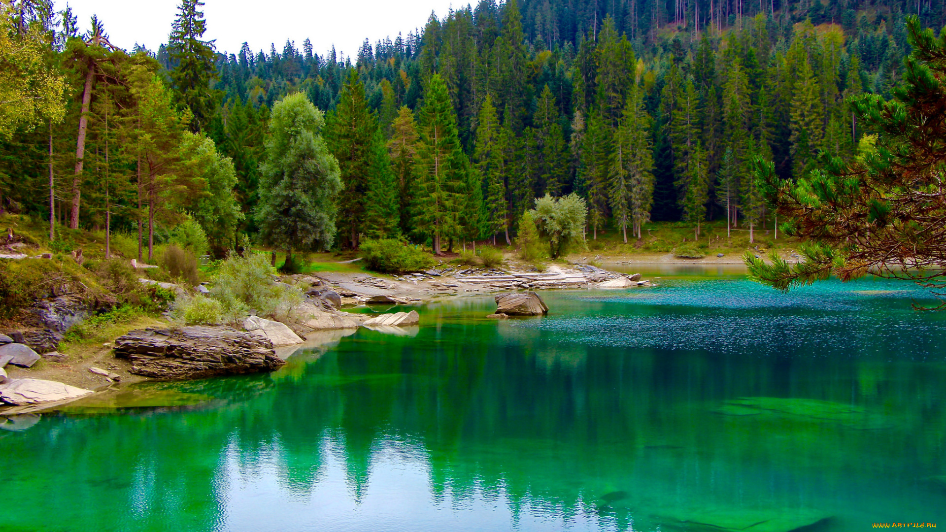 природа, реки, озера, простор