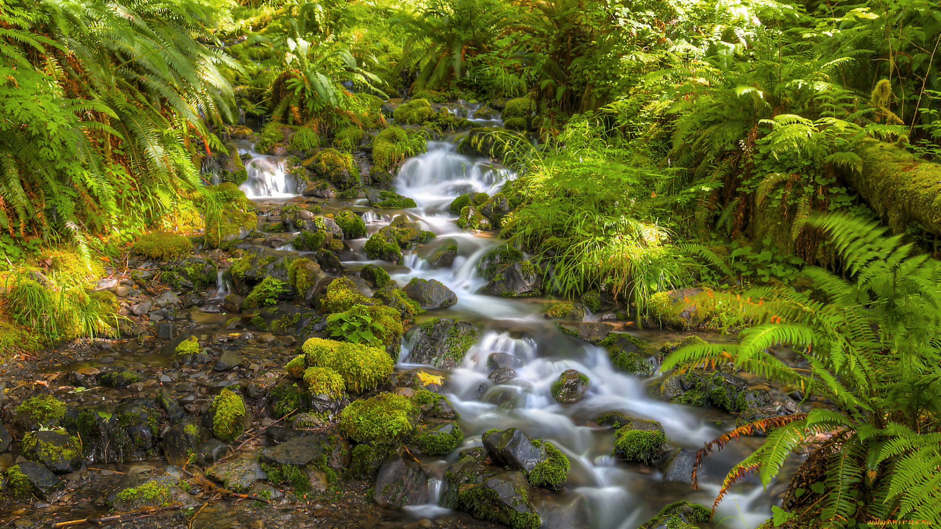 природа, реки, озера, простор