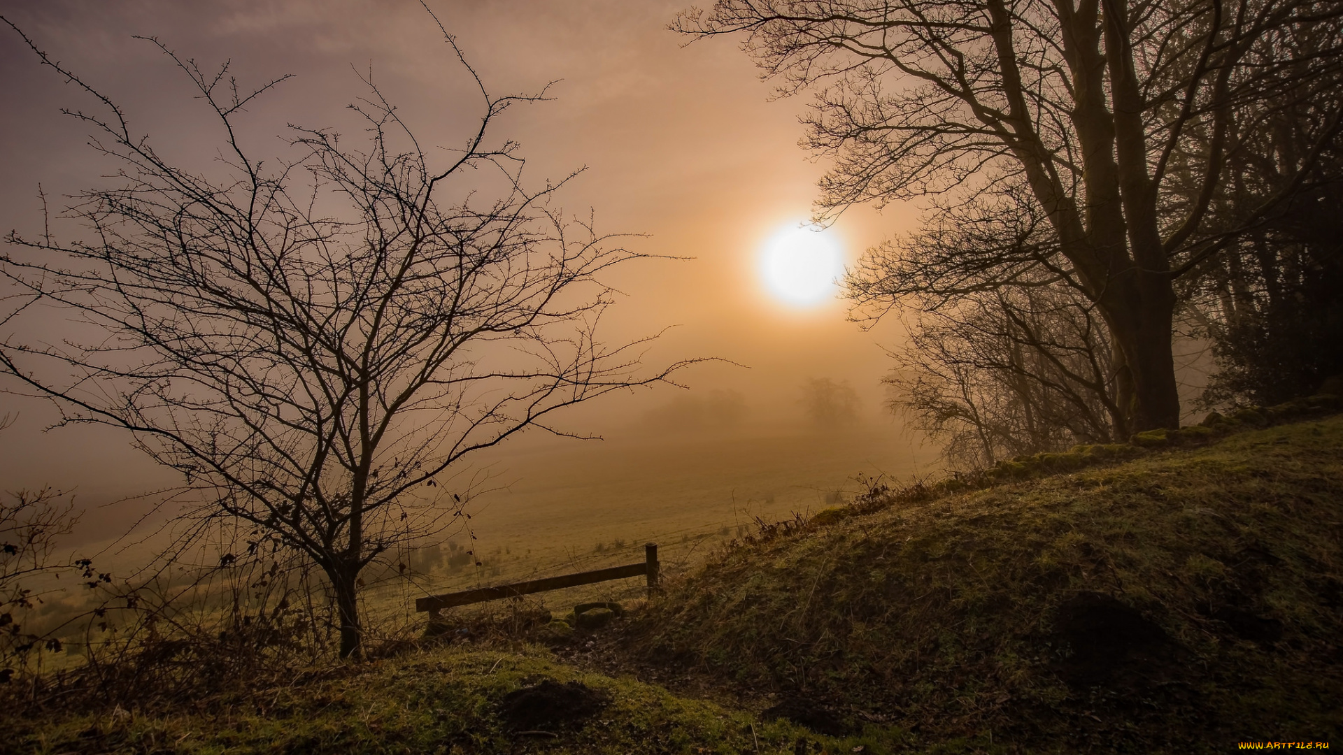 природа, восходы, закаты, простор