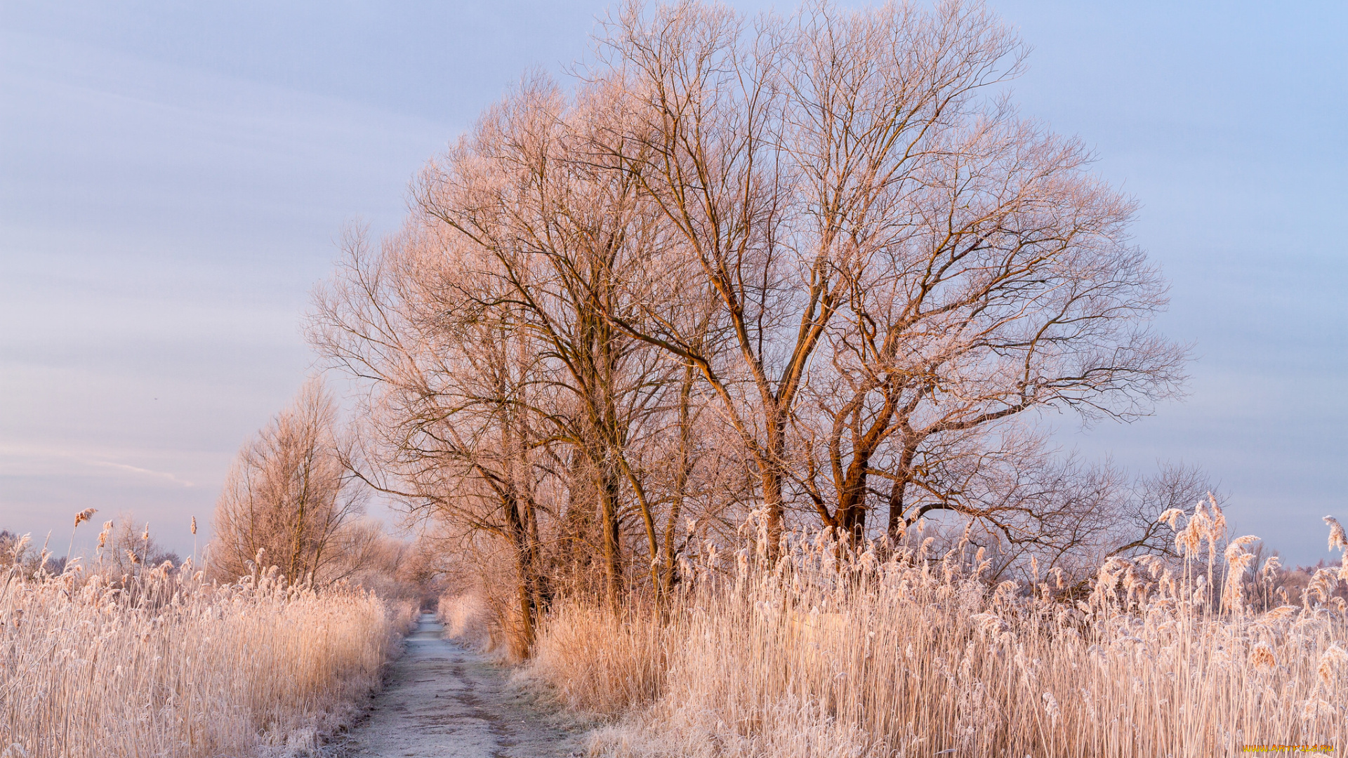 природа, зима, простор