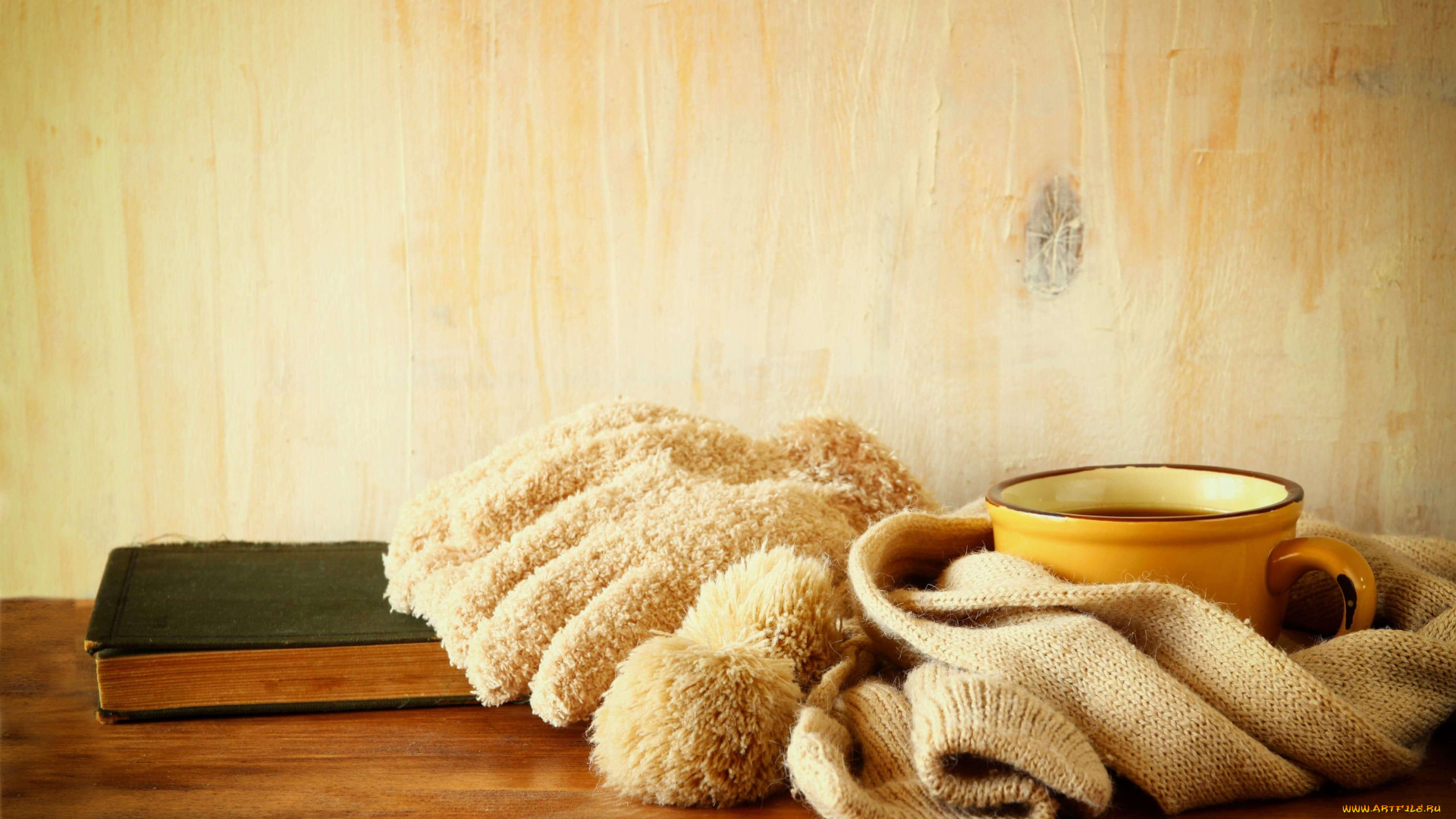 разное, канцелярия, , книги, книга, чашка, напиток, шарф