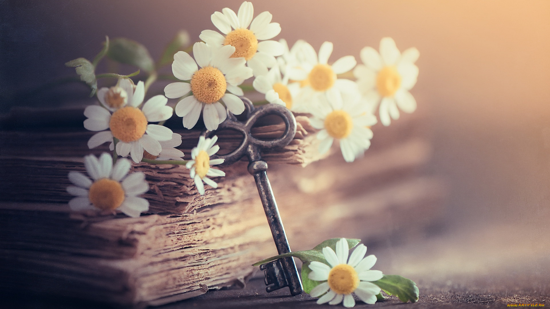 разное, ключи, , замки, , дверные, ручки, книга, ромашки, ключ