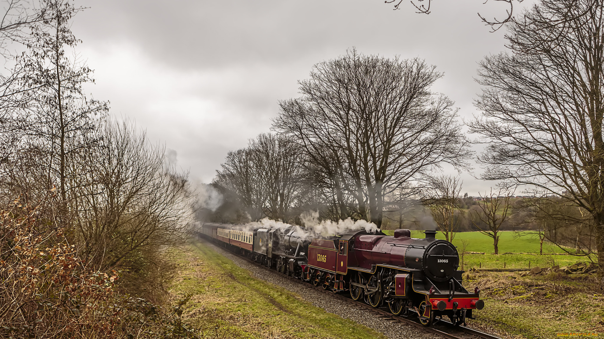 техника, паровозы, локомотив, состав