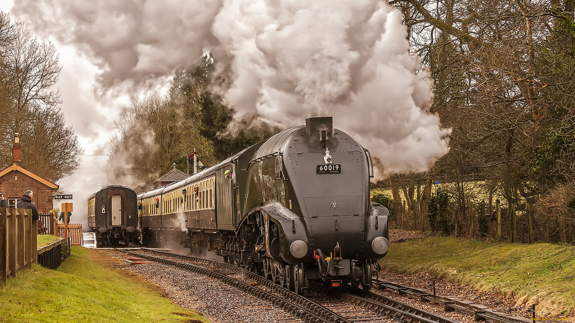 техника, паровозы, локомотив, состав