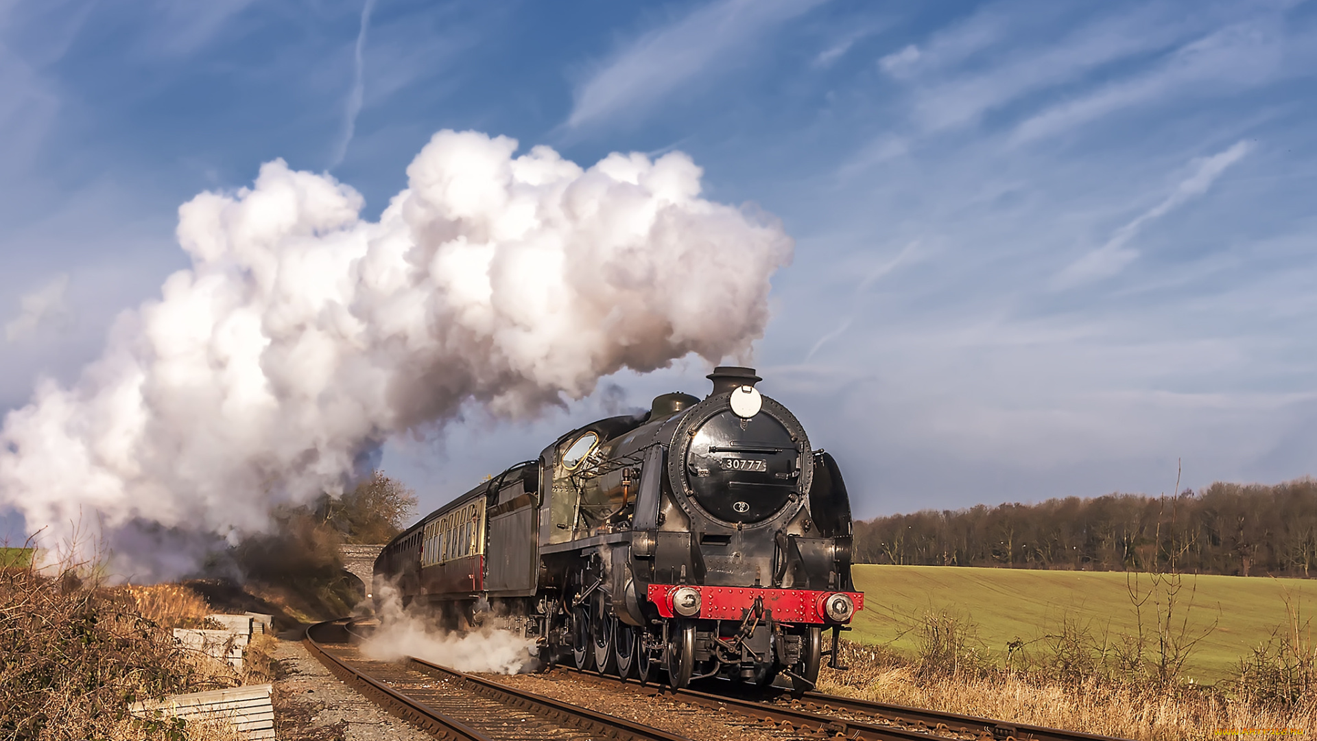 техника, паровозы, локомотив, состав