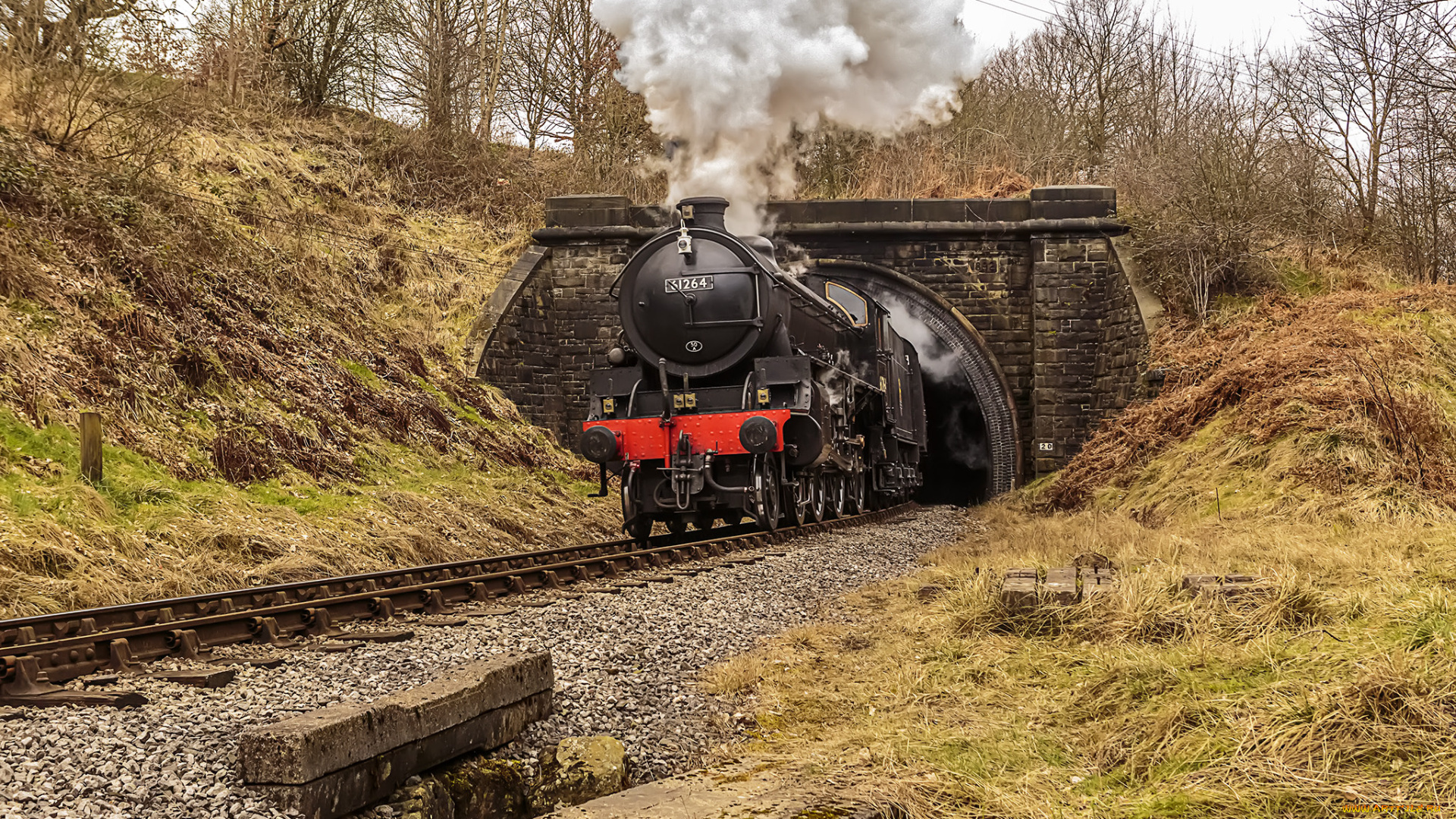 техника, паровозы, состав, локомотив