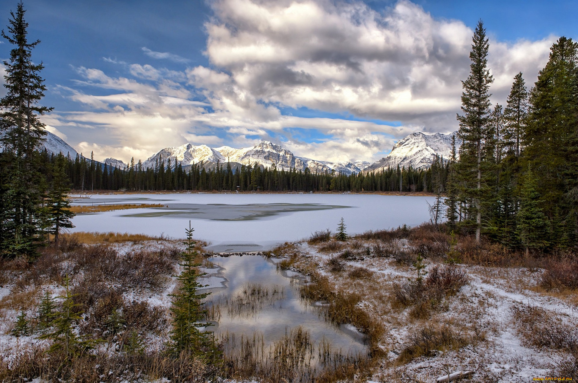природа, реки, озера, простор