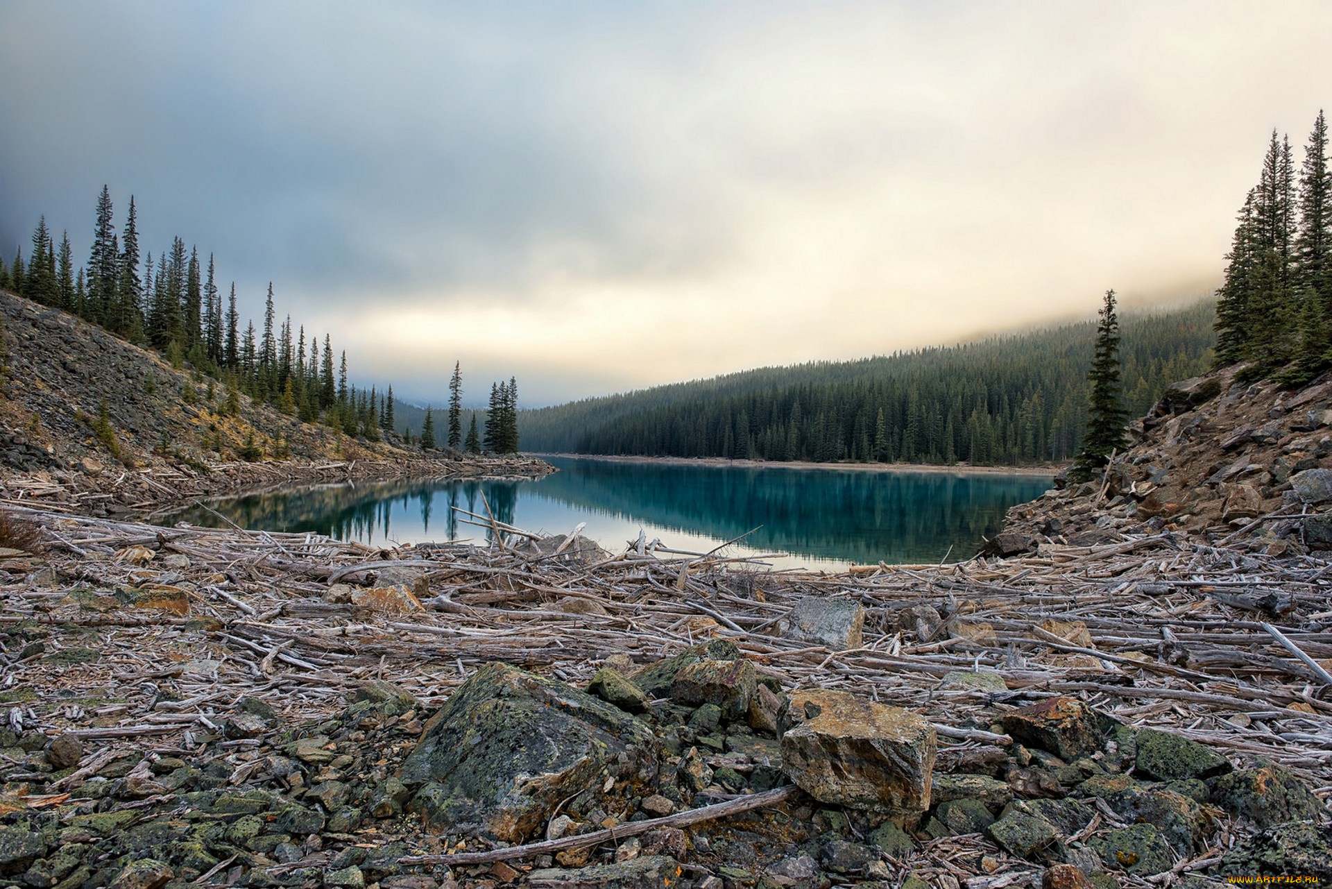 природа, пейзажи, простор