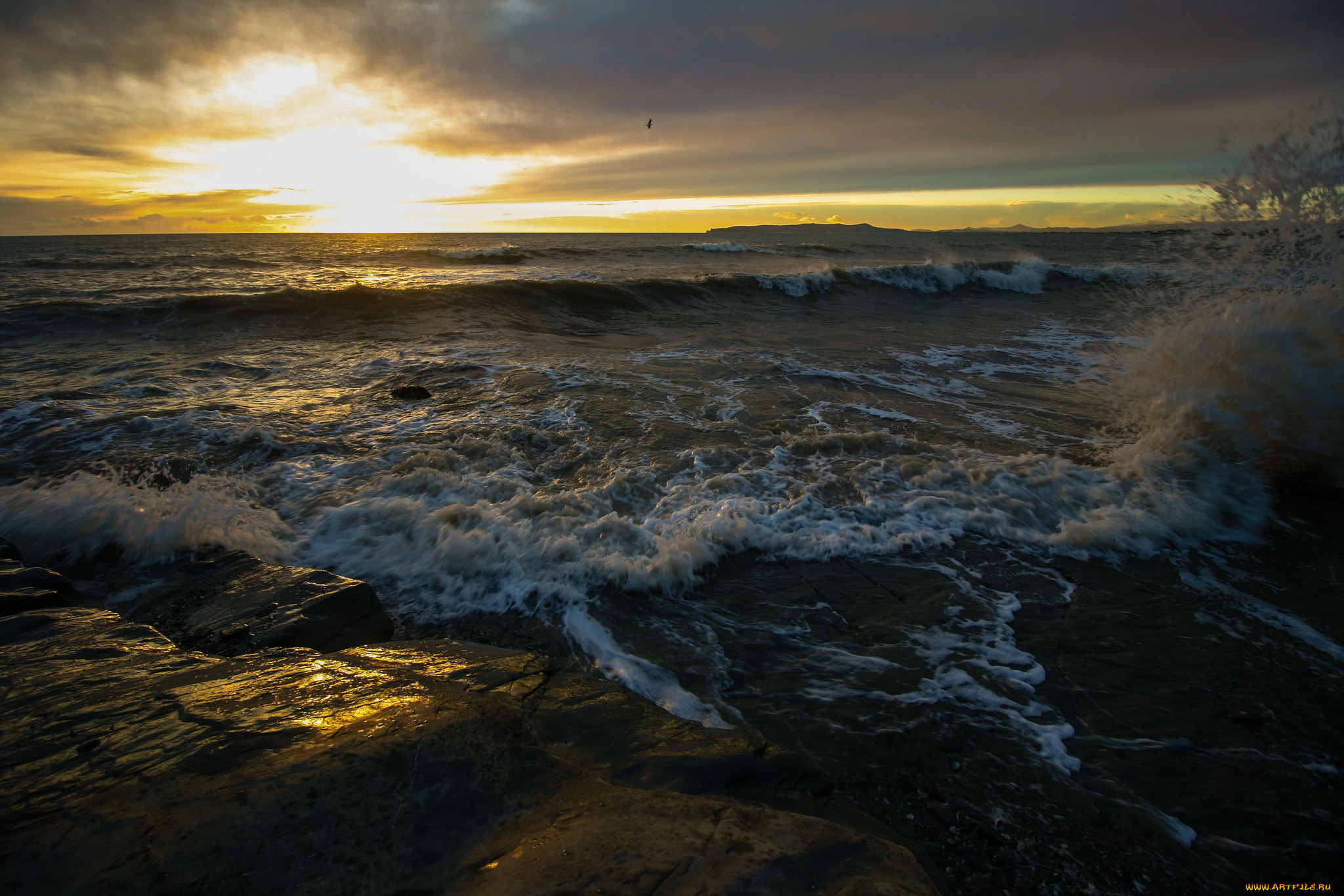 природа, побережье, простор