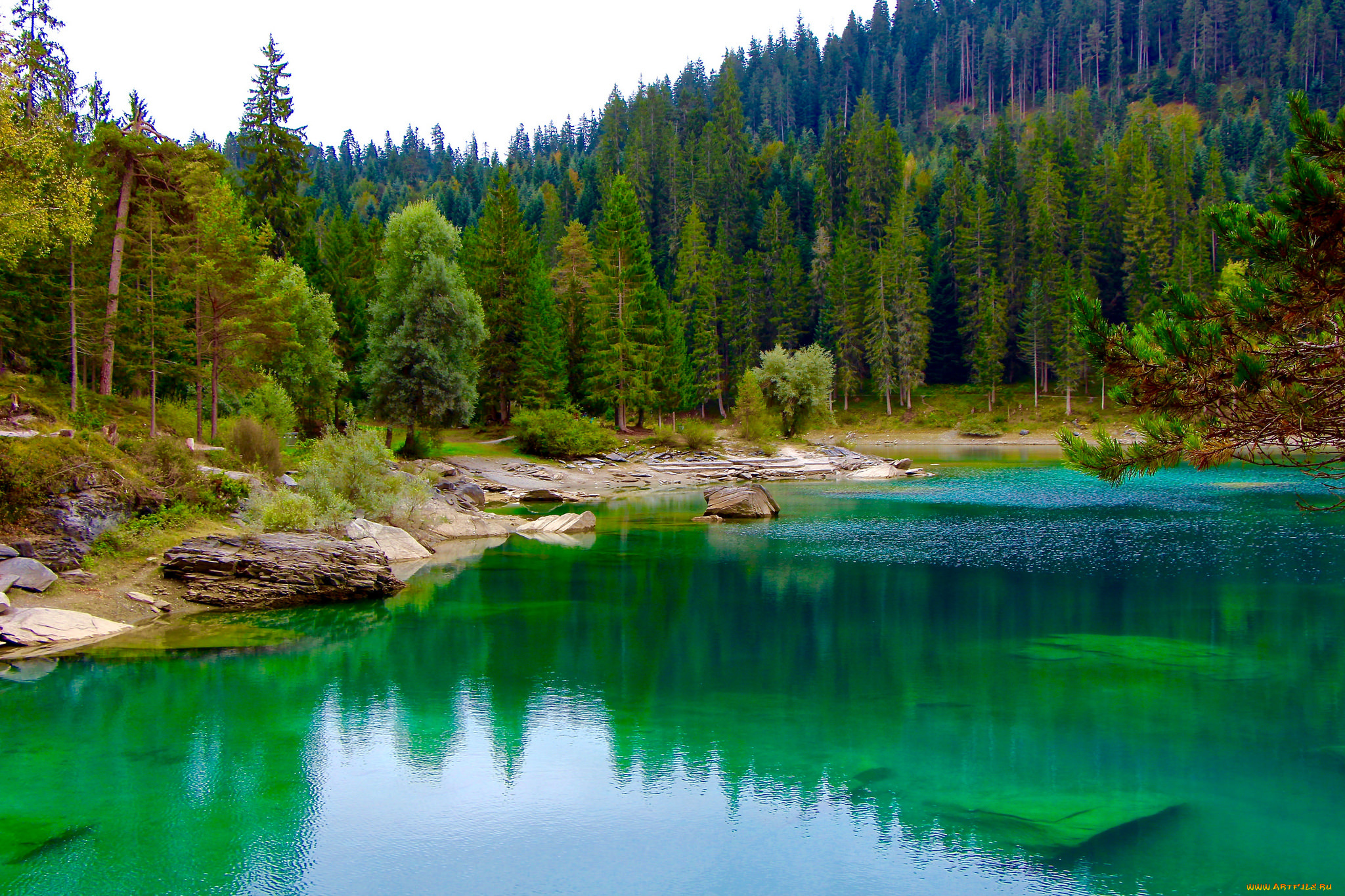 природа, реки, озера, простор