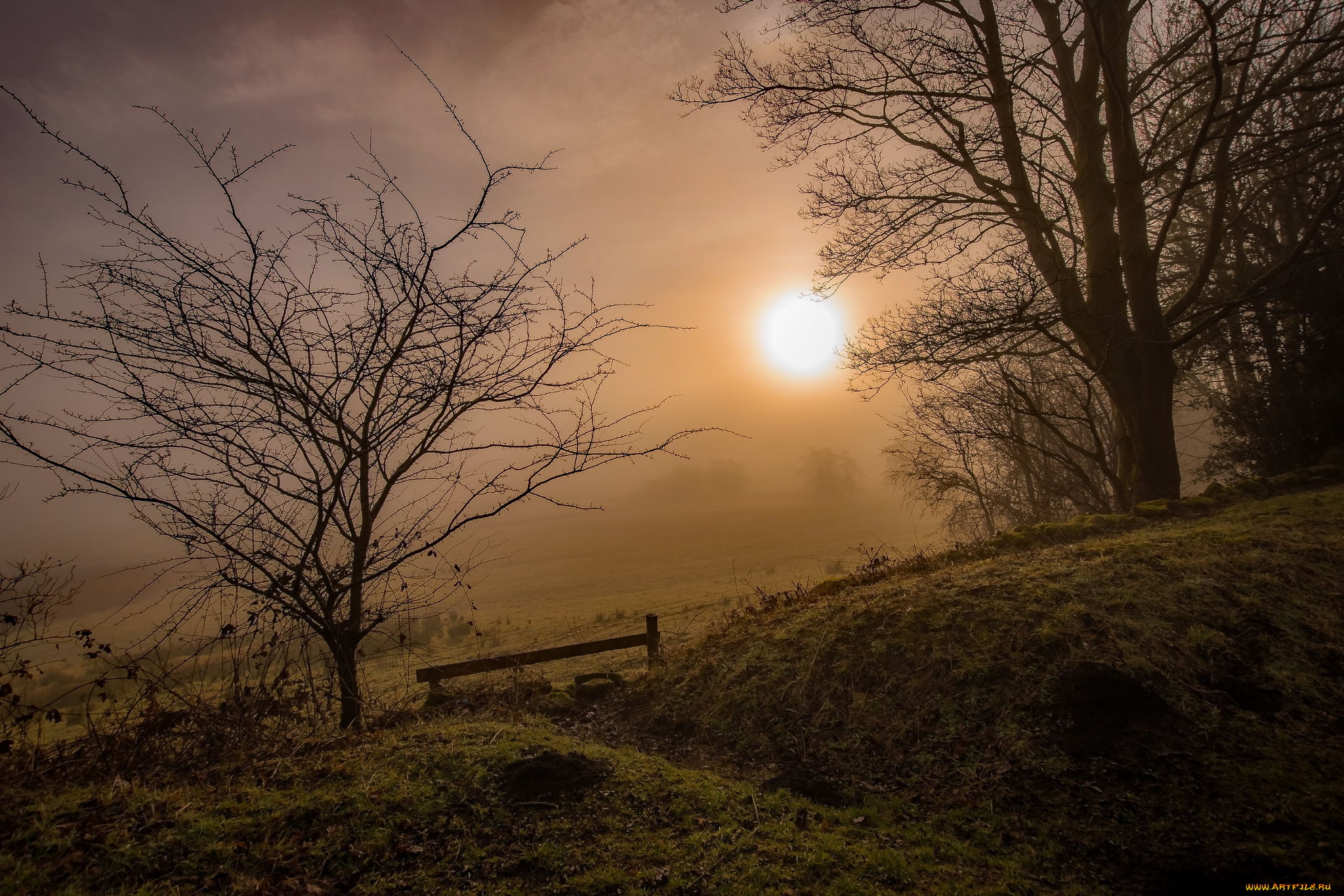 природа, восходы, закаты, простор