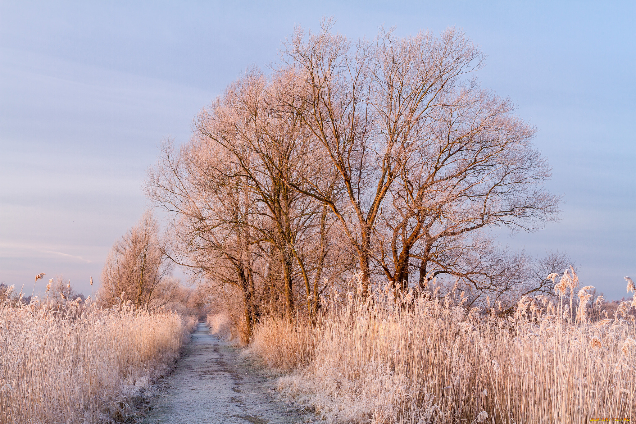 природа, зима, простор