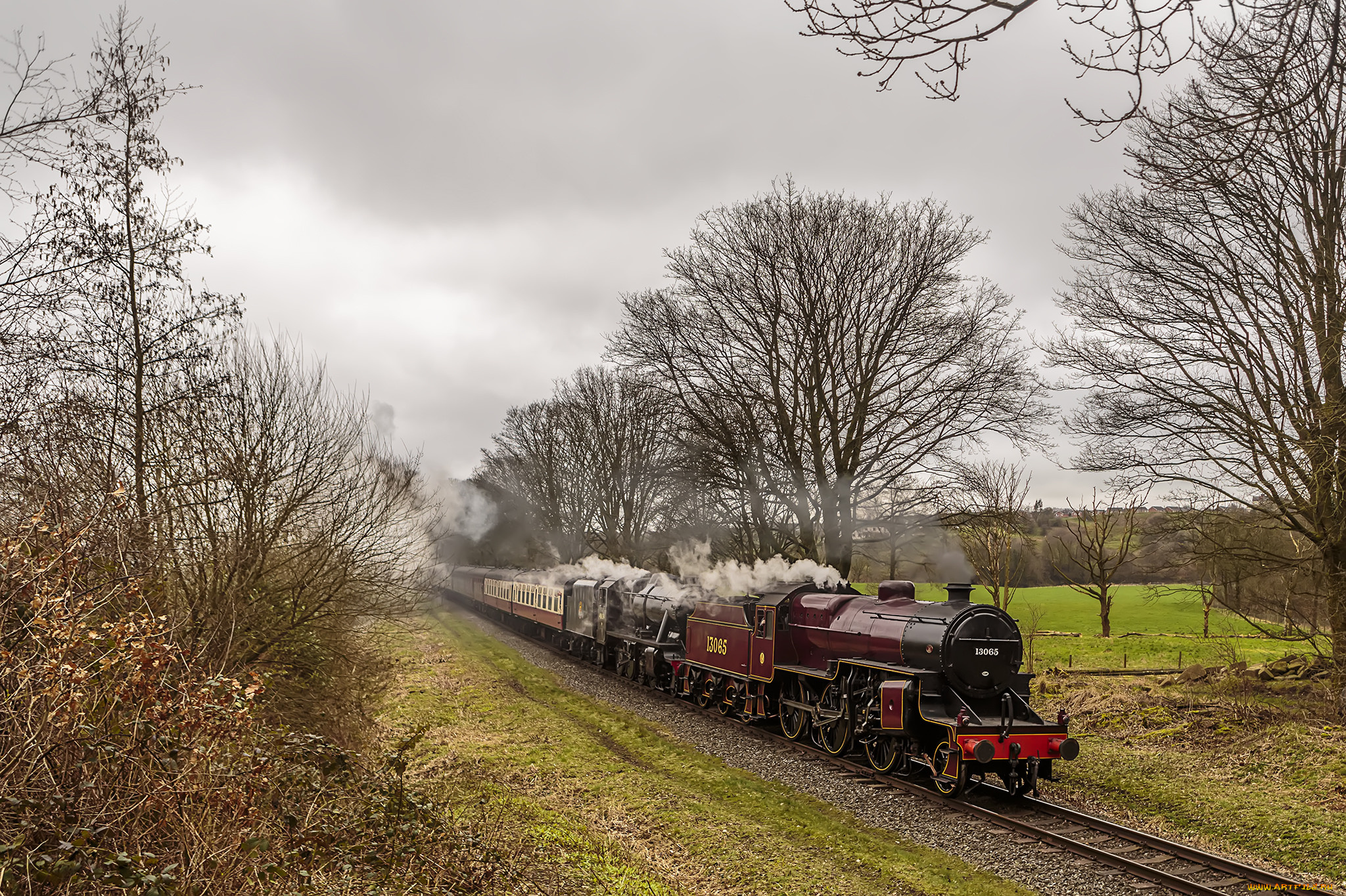 техника, паровозы, локомотив, состав
