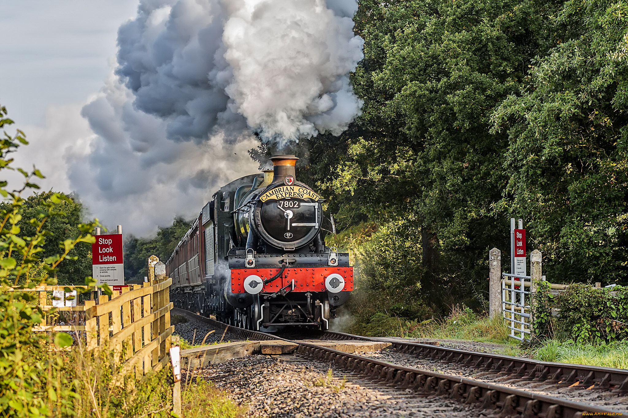 техника, паровозы, состав, локомотив