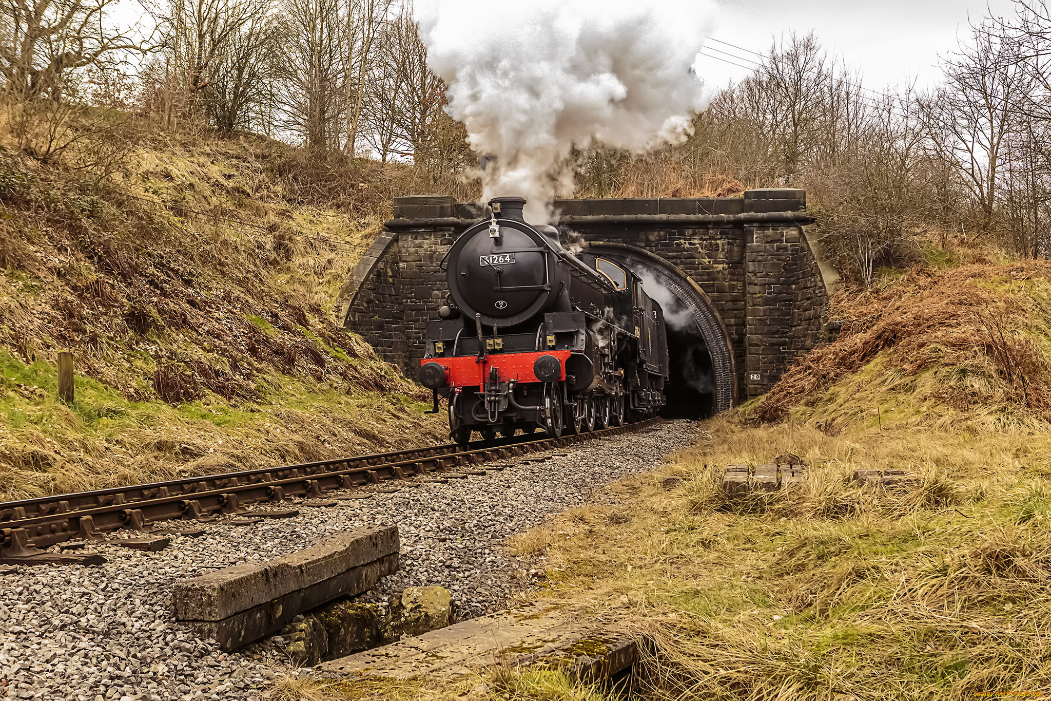 техника, паровозы, состав, локомотив