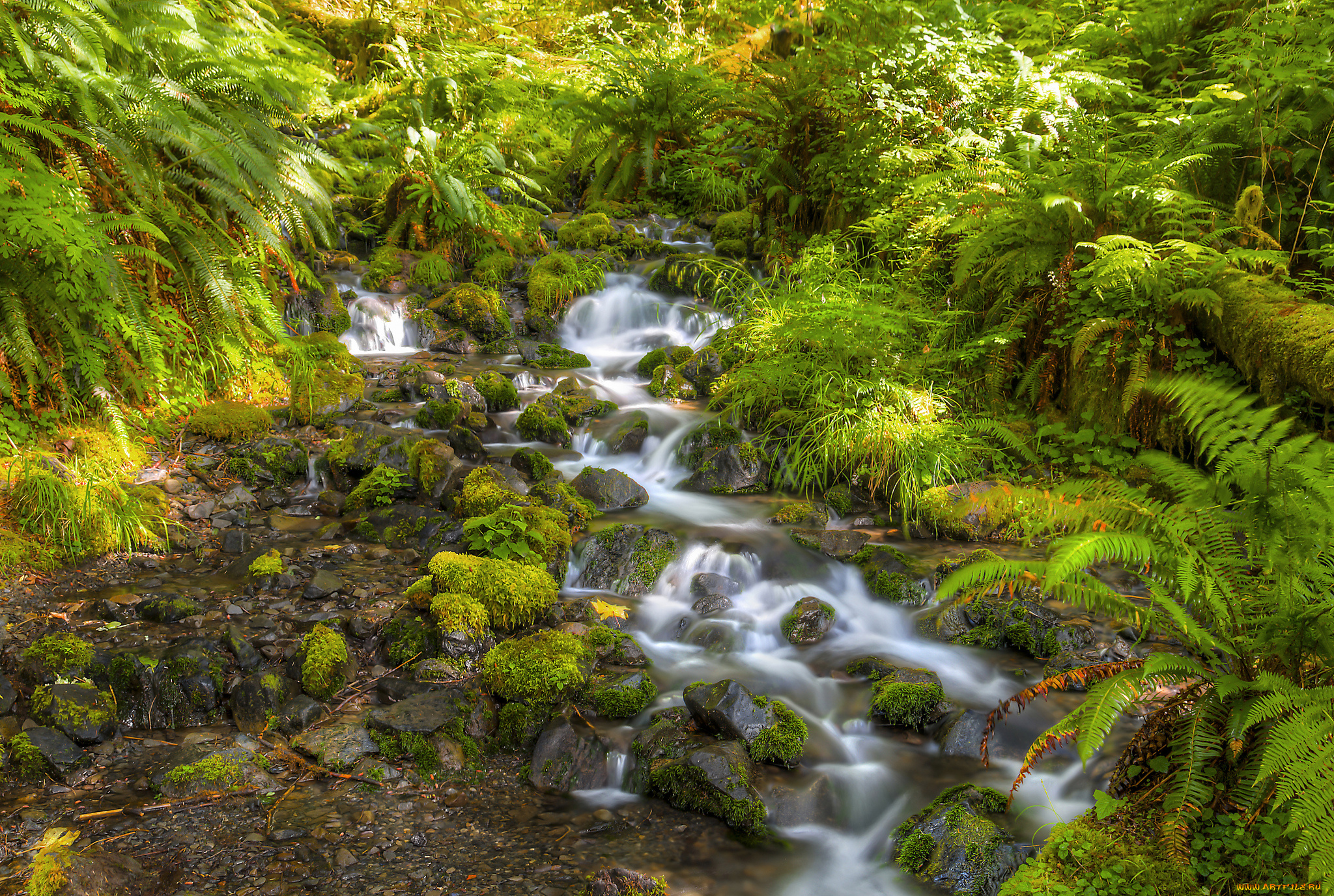 природа, реки, озера, простор