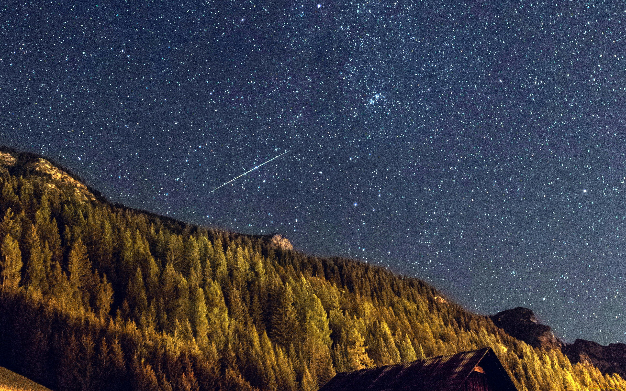 природа, лес, небо, звездное, ночь