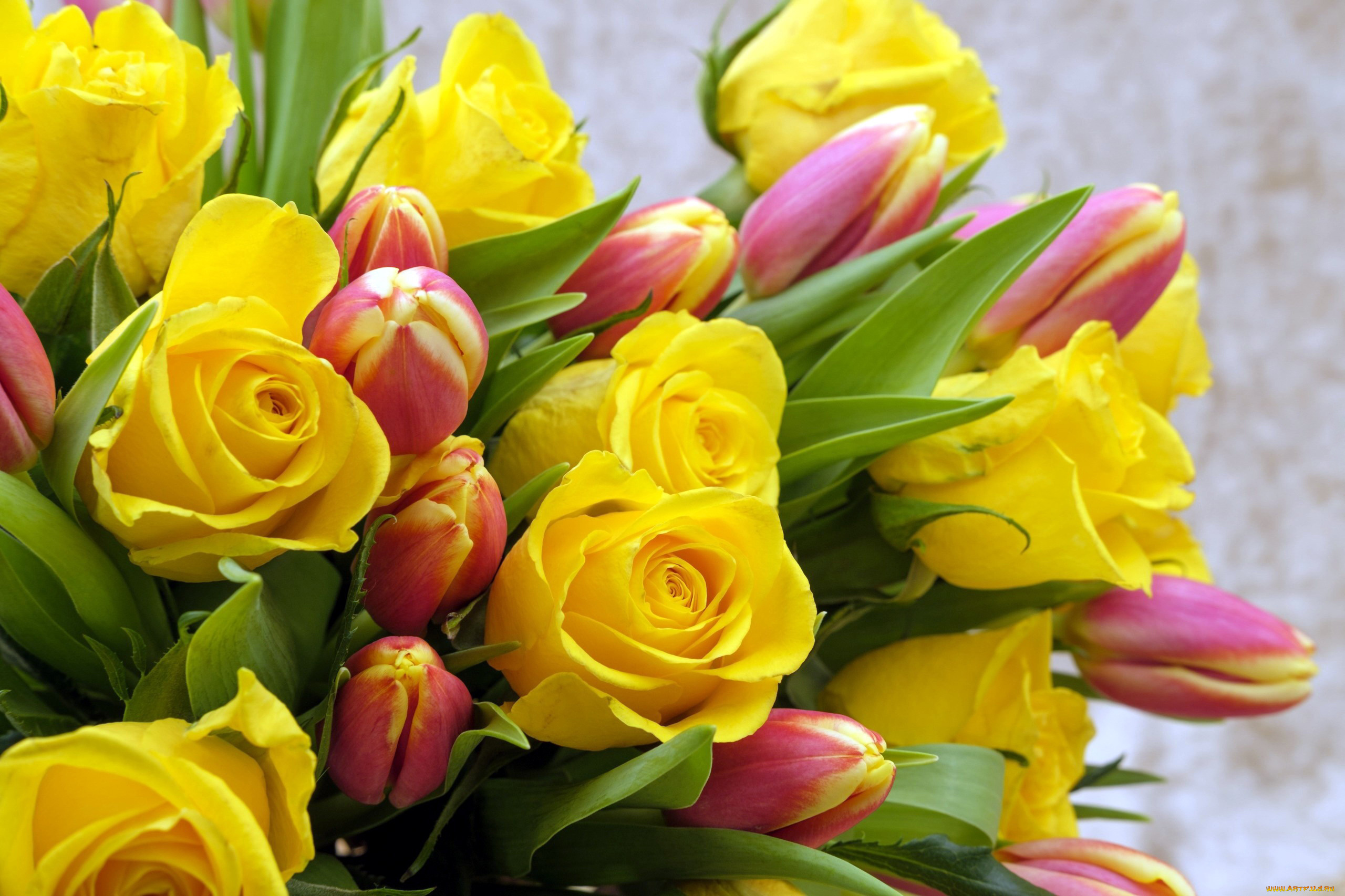 цветы, разные, вместе, тюльпаны, розы