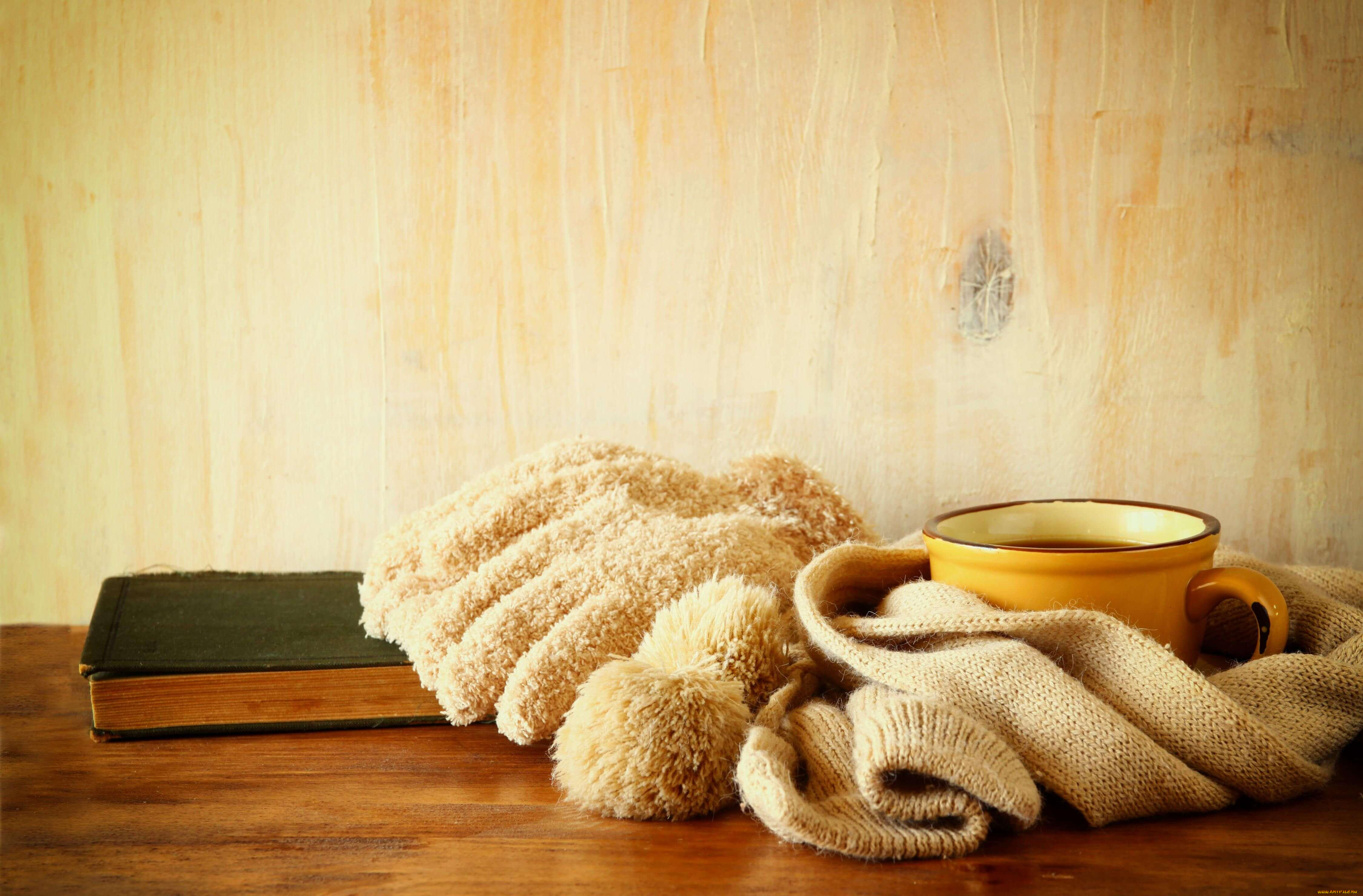 разное, канцелярия, , книги, книга, чашка, напиток, шарф