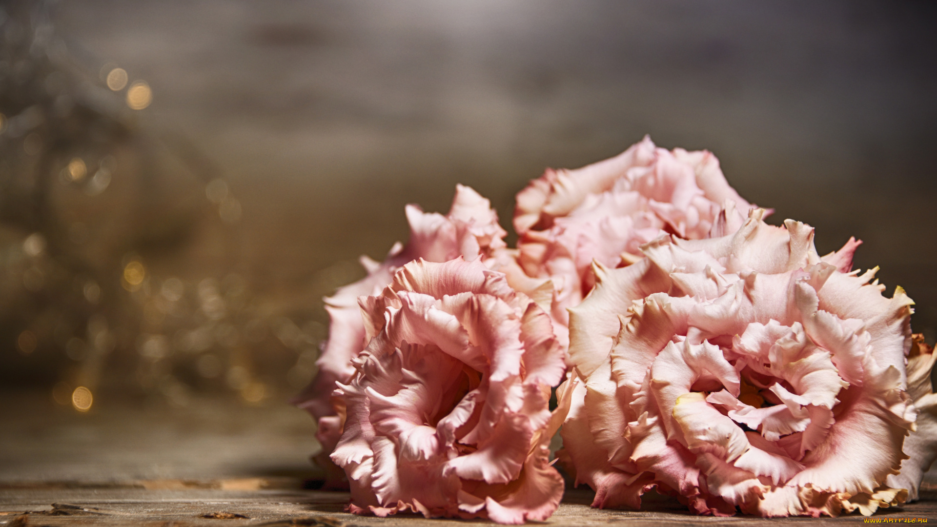 цветы, эустома, стол, розовые