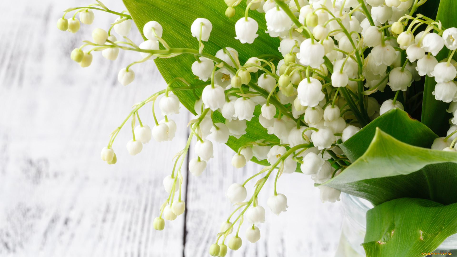 цветы, ландыши, букет, весна