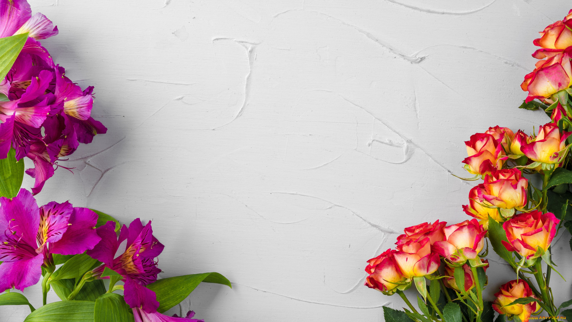 цветы, разные, вместе, альстамерия, розы, фон