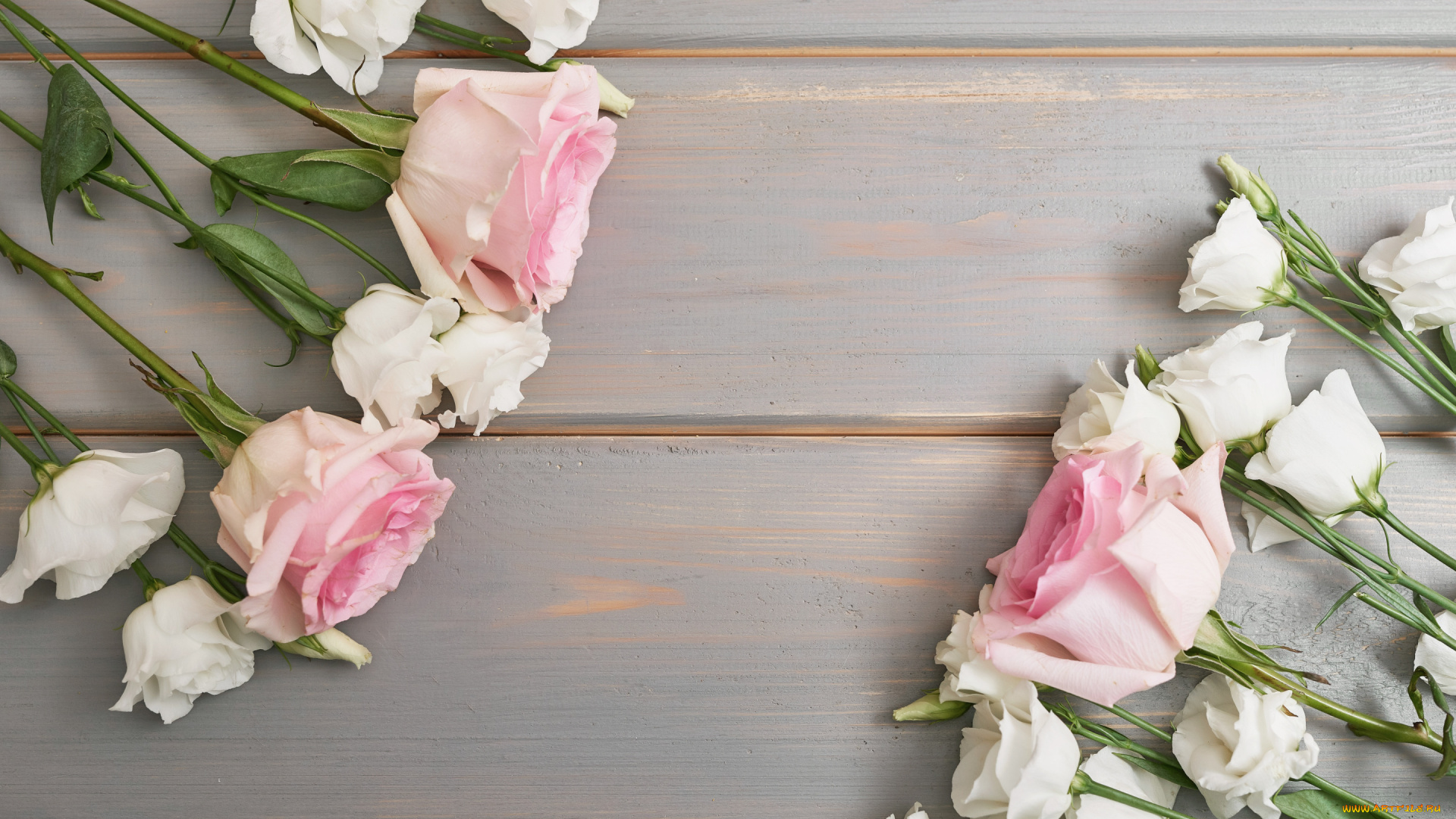 цветы, разные, вместе, розы, эустома