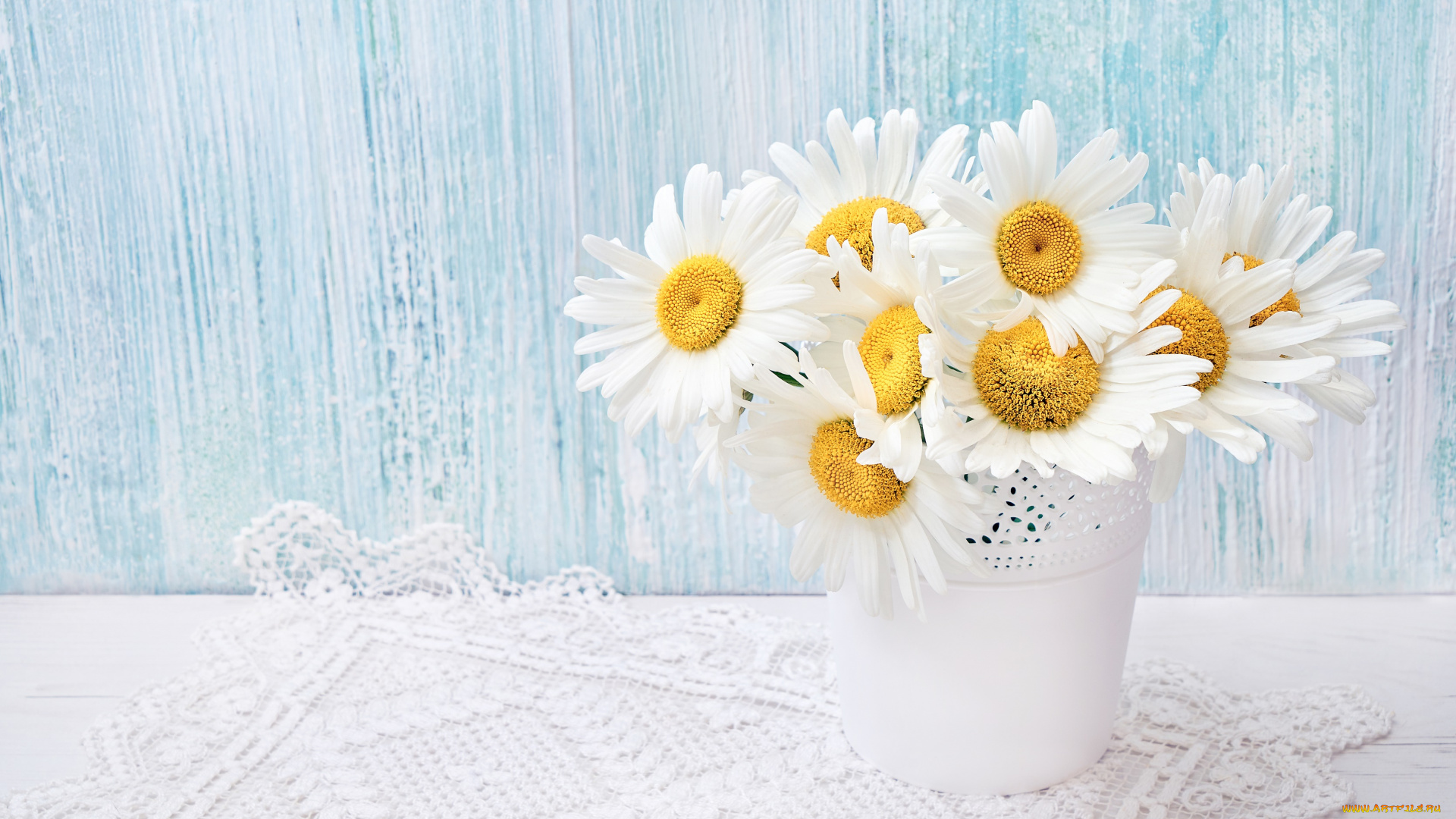 цветы, ромашки, букет, кашпо
