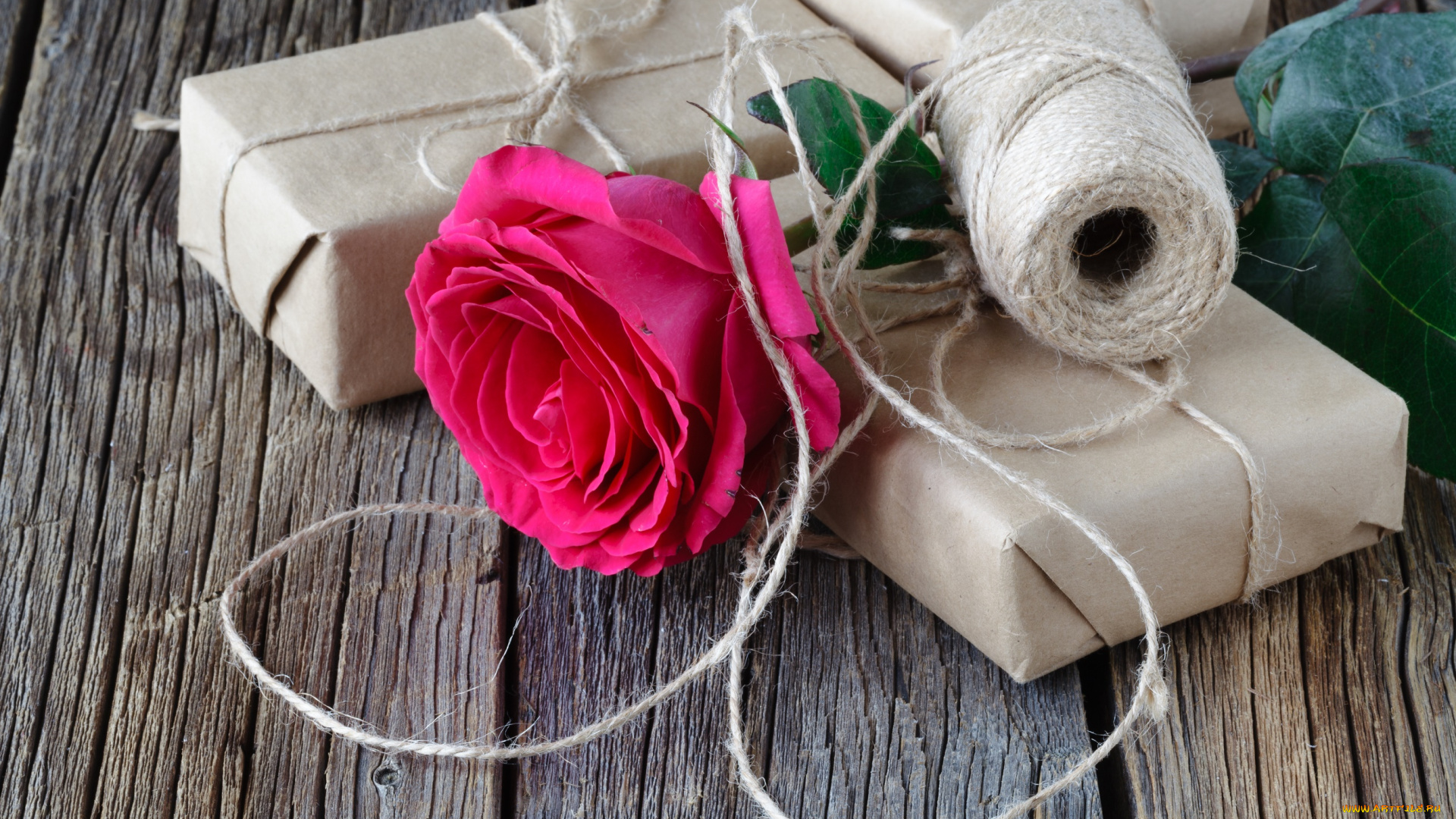 цветы, розы, роза, нитки