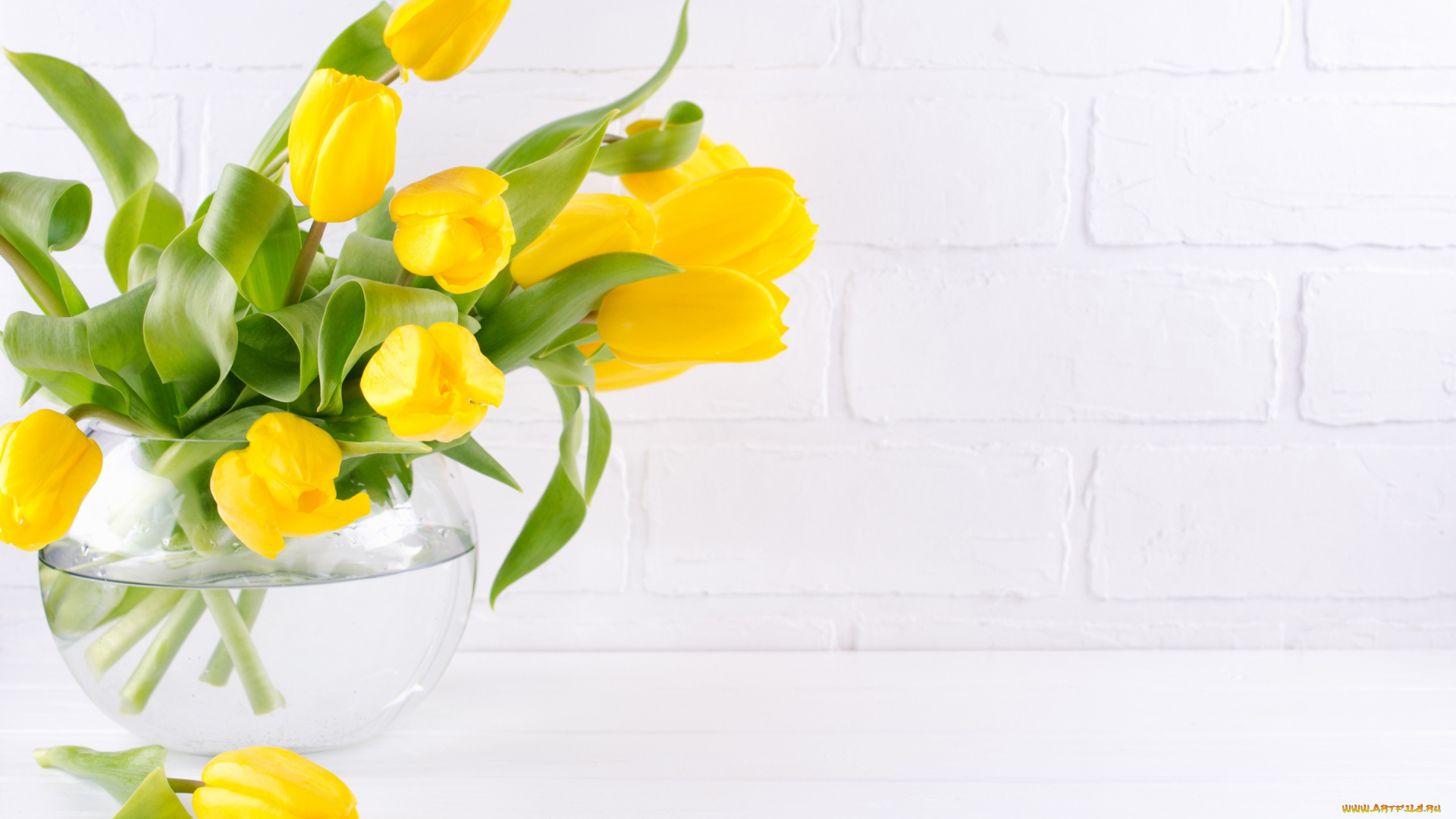 цветы, тюльпаны, букет, желтые, ваза
