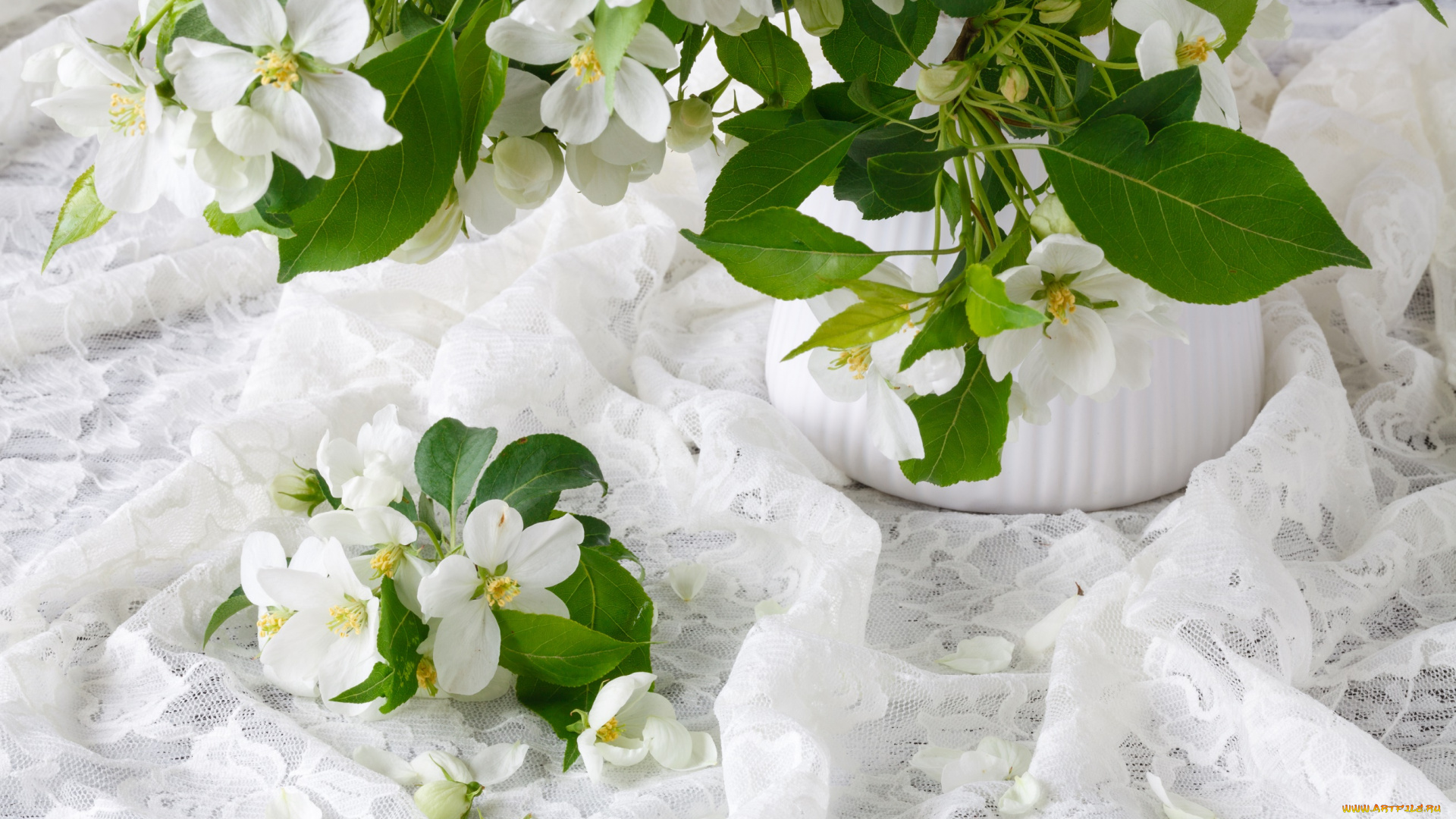 цветы, жасмин, букет, весна, ваза