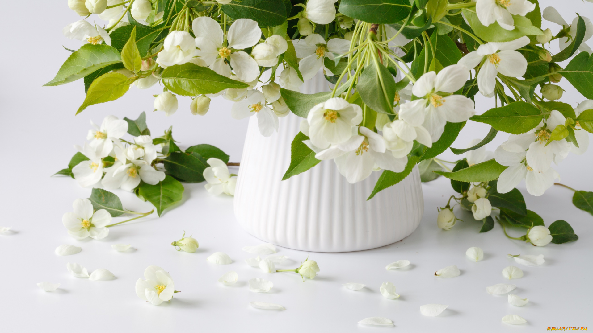 цветы, жасмин, букет, весна, ваза