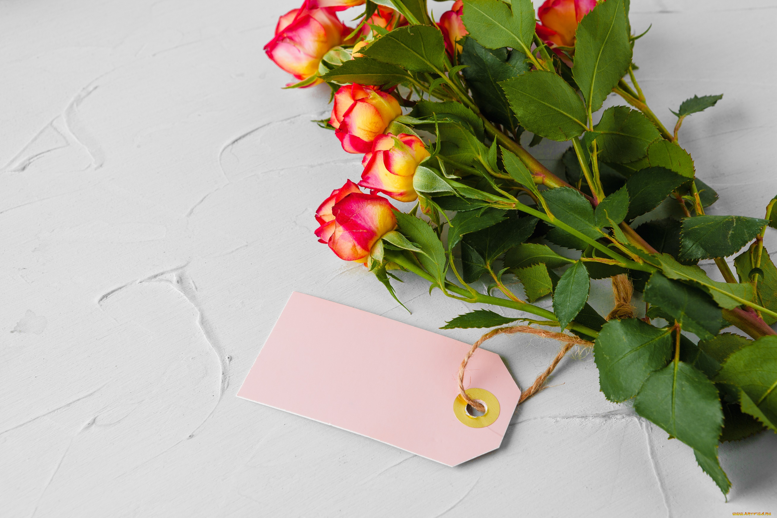 цветы, розы, букет