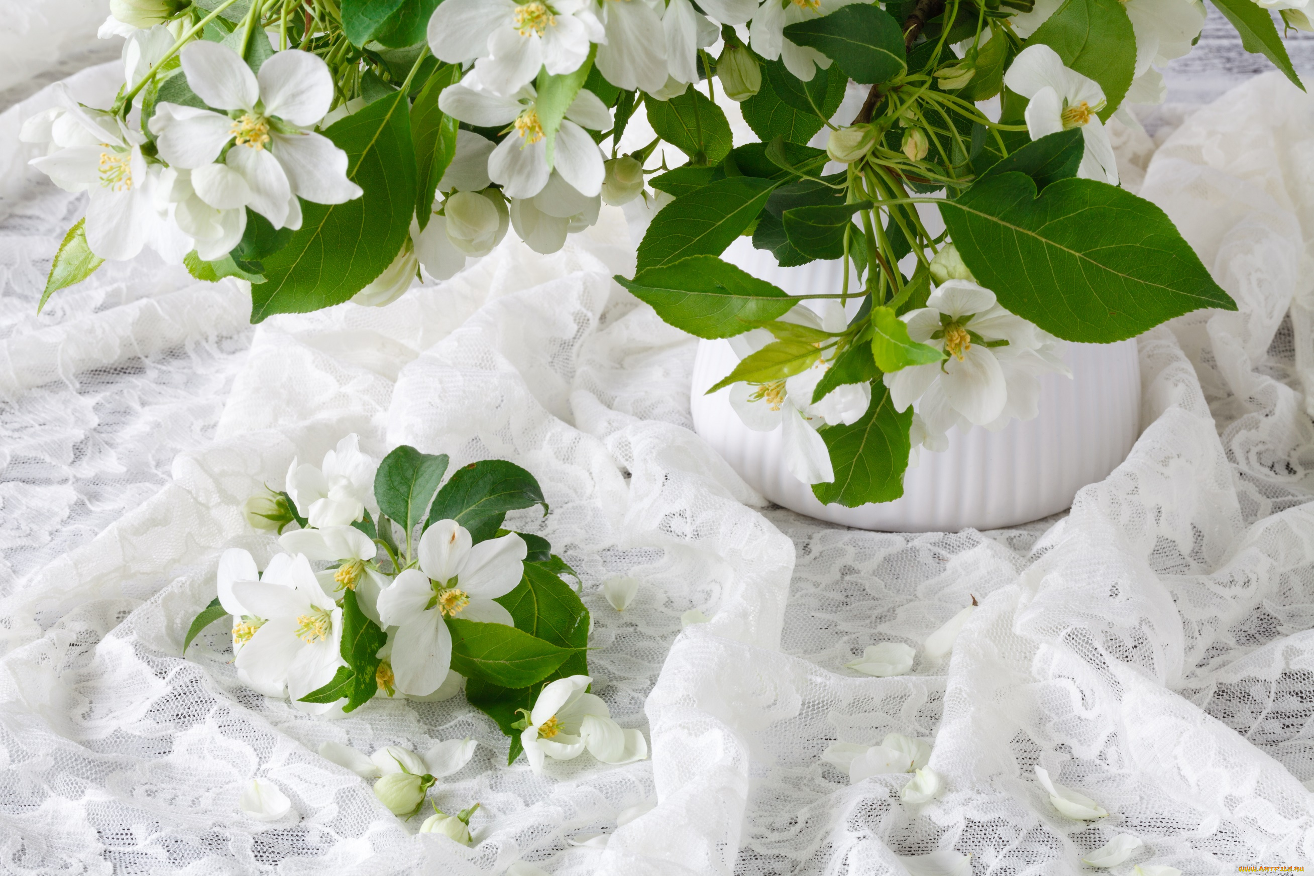 цветы, жасмин, букет, весна, ваза