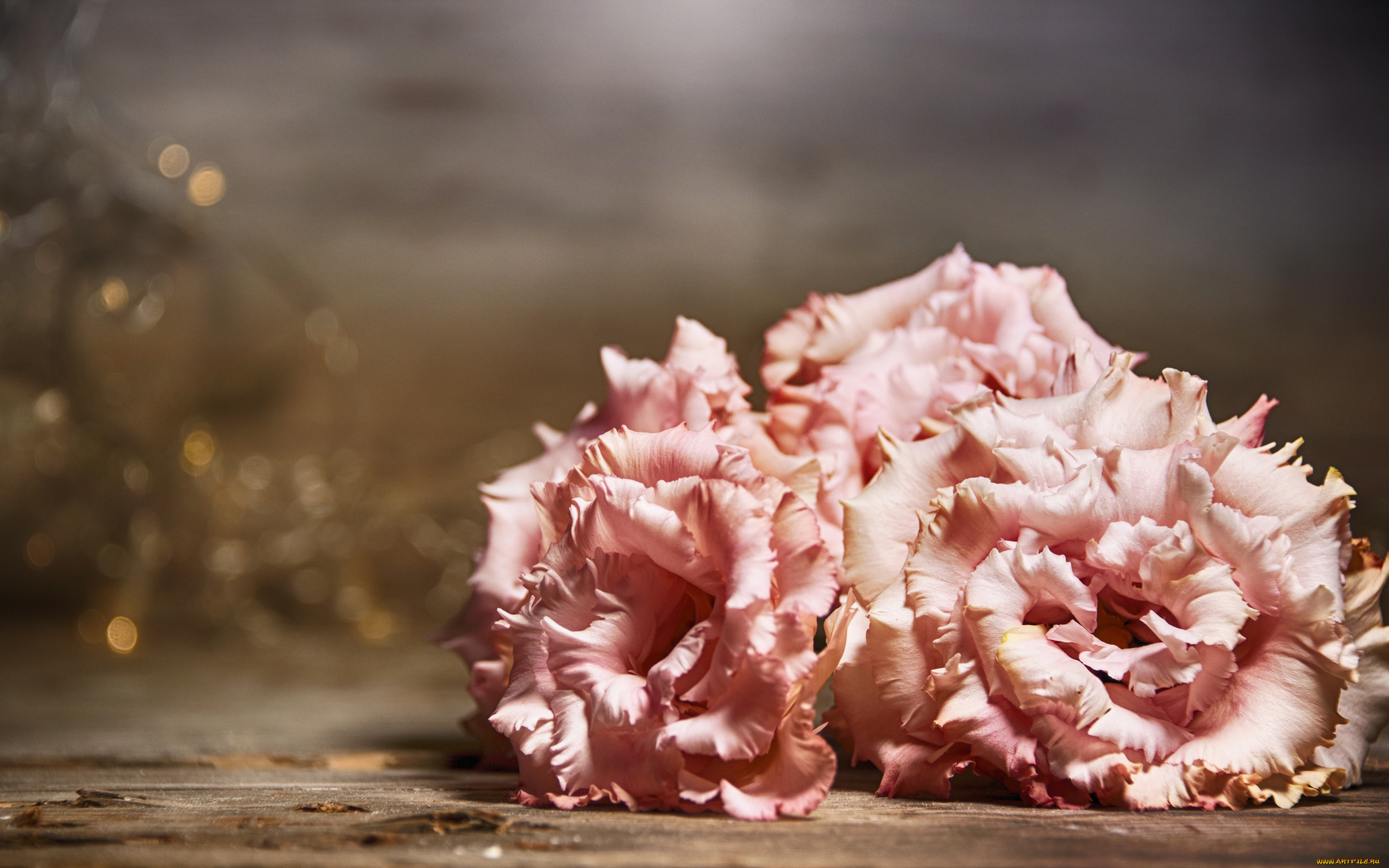 цветы, эустома, стол, розовые