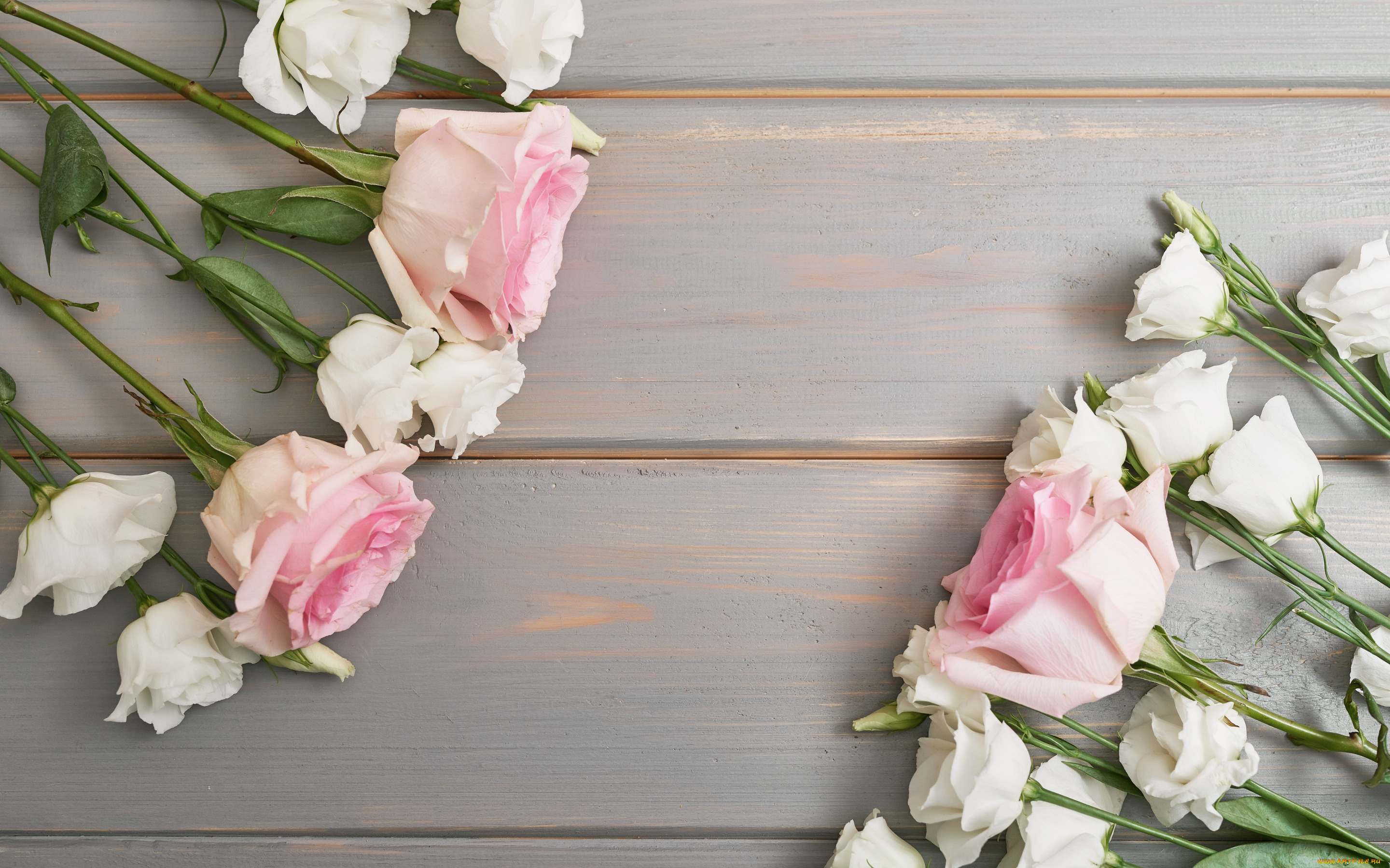 цветы, разные, вместе, розы, эустома