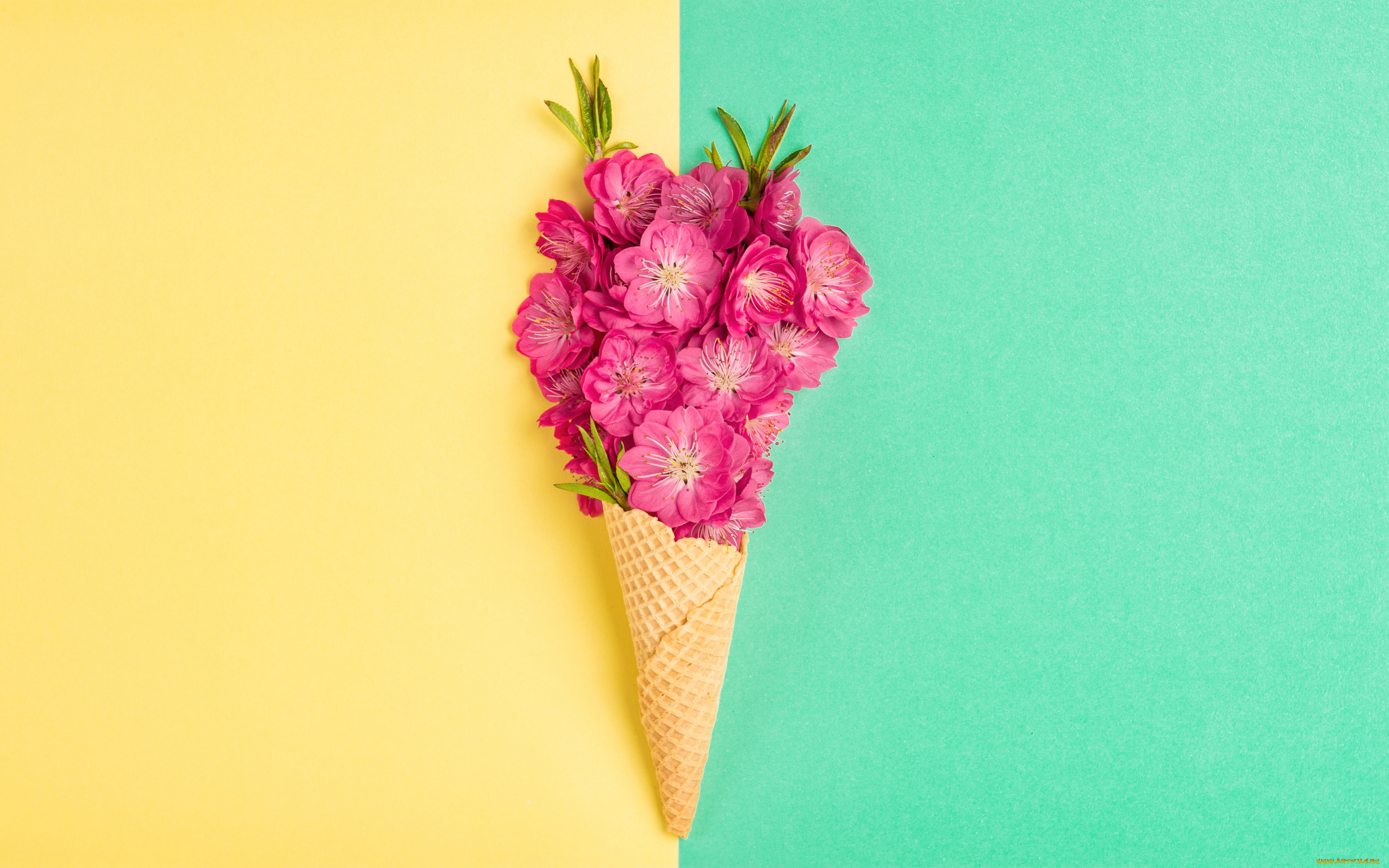 цветы, сакура, , вишня, розовые, рожок, персик, вафельный