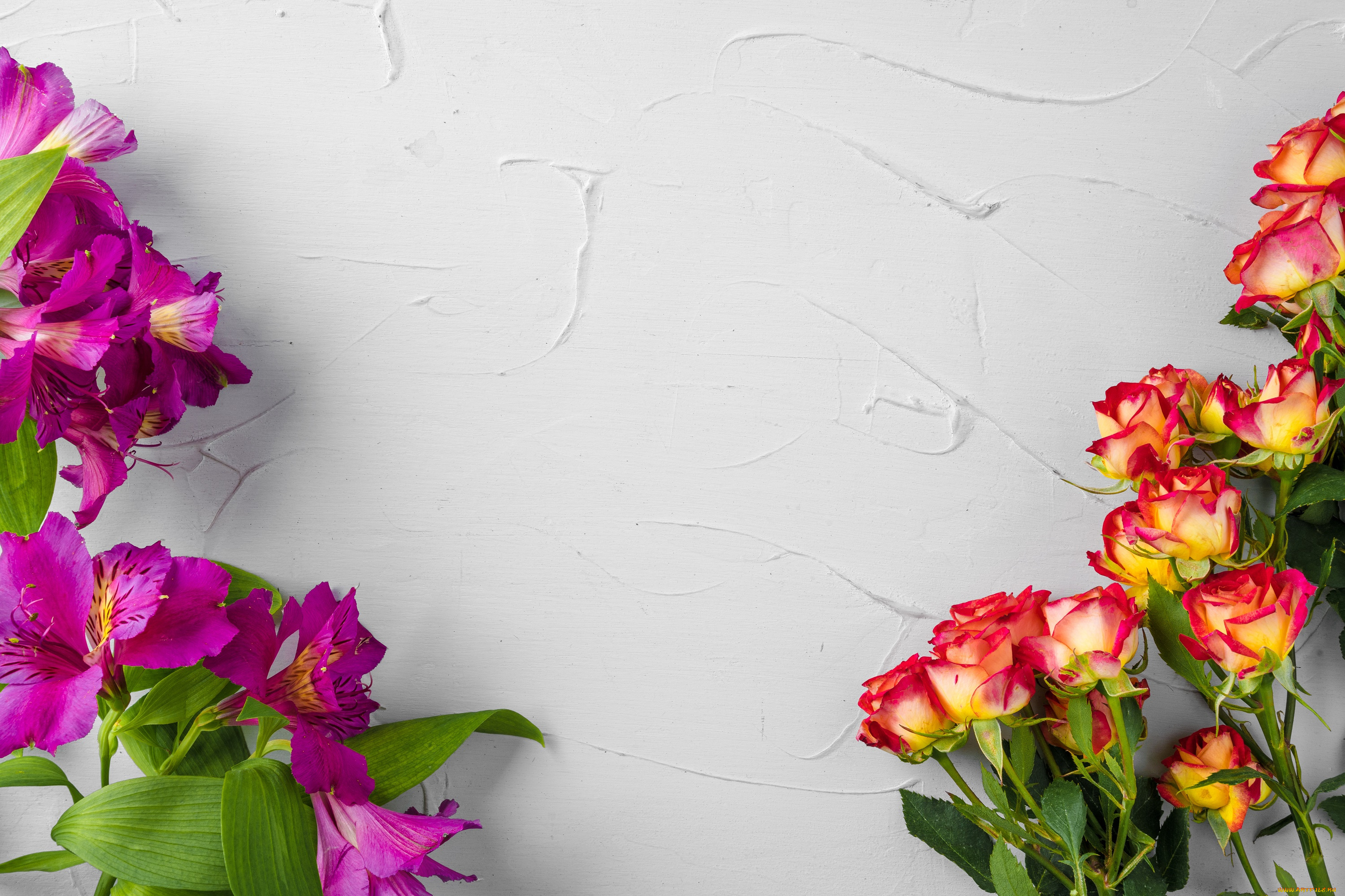 цветы, разные, вместе, альстамерия, розы, фон