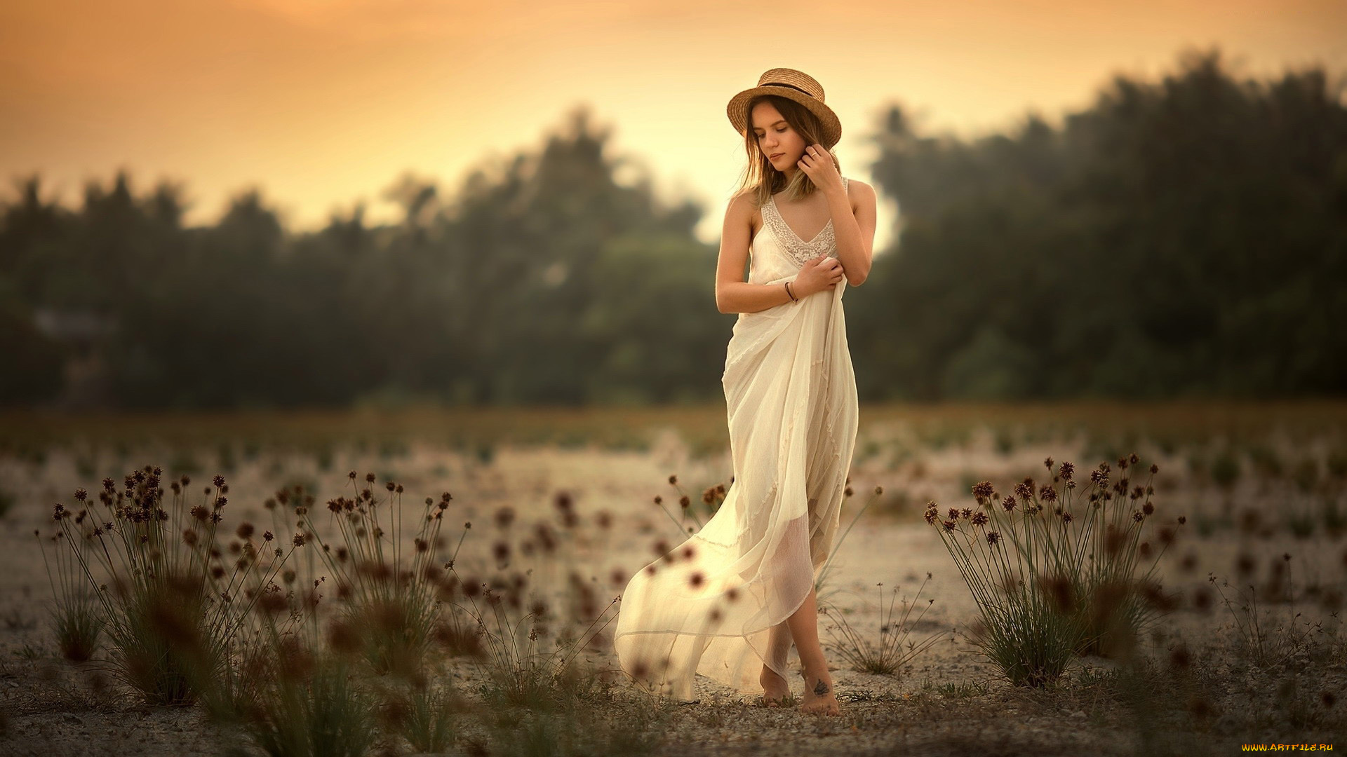 девушки, -, брюнетки, , шатенки, закат, шатенка, шелковое, платье, шляпа, анюта, онтикова