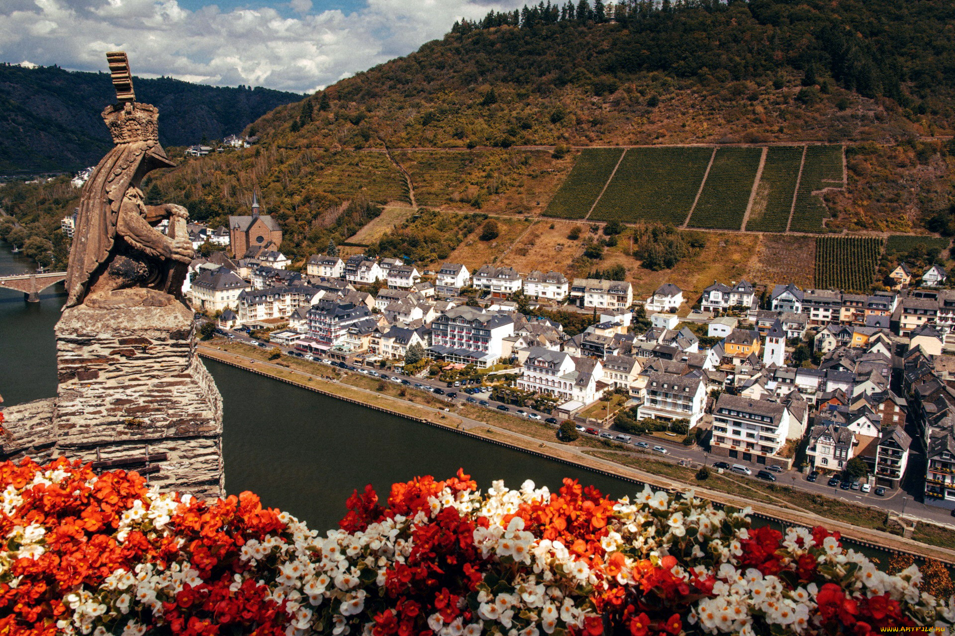 города, кохем, , германия, река, панорама, цветник