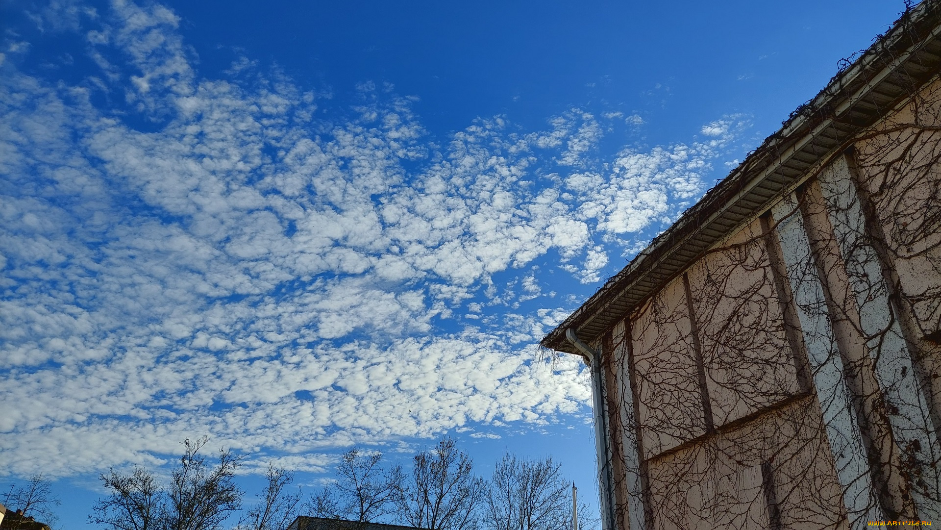 разное, элементы, архитектуры, небо, здание