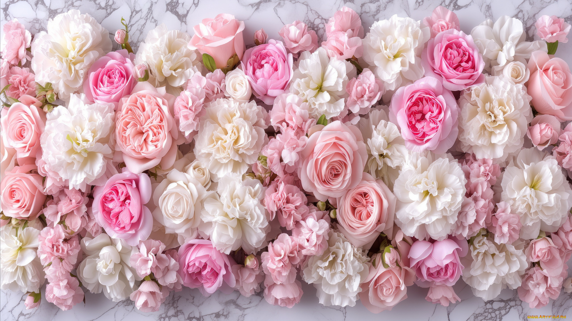 3д, графика, цветы, , flowers, розы