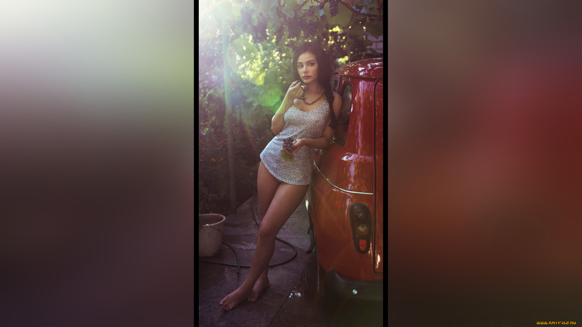 девушки, -, брюнетки, , шатенки, красивая, девушка