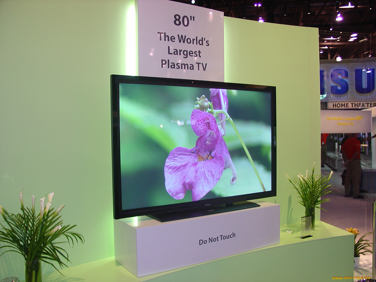 samsung, бренды