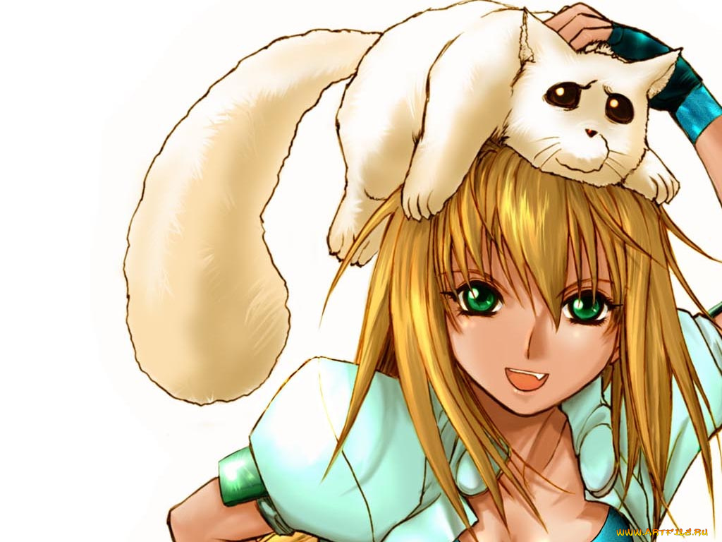 аниме, excel, saga